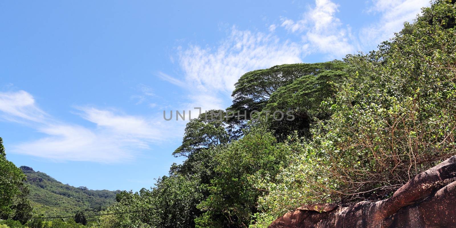 Beautiful impressions of the tropical landscape paradise on the Seychelles islands