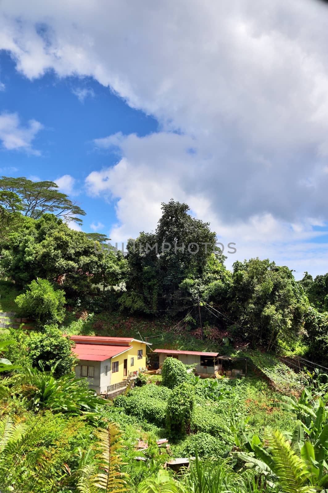 Beautiful impressions of the tropical landscape paradise on the Seychelles islands