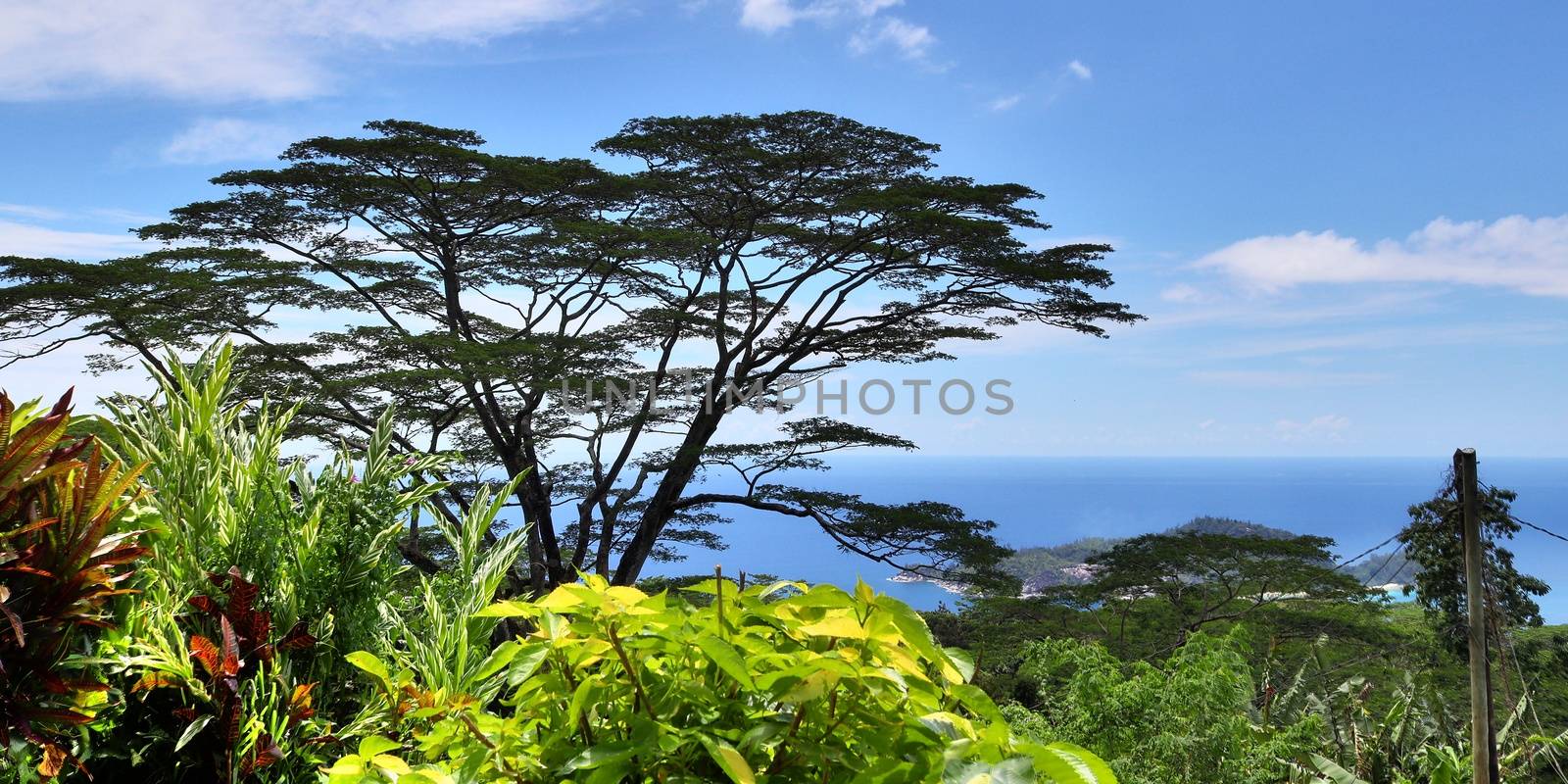 Beautiful impressions of the tropical landscape paradise on the Seychelles islands