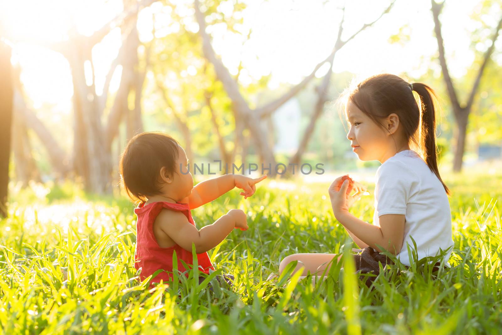 Beautiful young asian kid sitting playing in summer in the park with enjoy and cheerful on green grass, children activity with relax and happiness together on meadow, family and holiday concept.