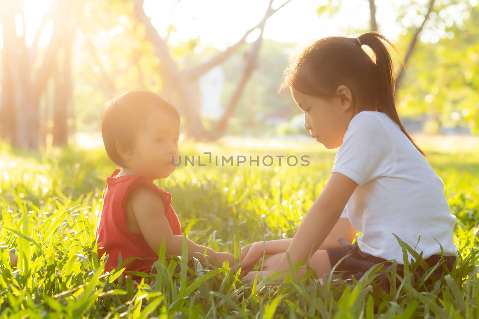 Beautiful young asian kid sitting playing in summer in the park with enjoy and cheerful on green grass, children activity with relax and happiness together on meadow, family and holiday concept.