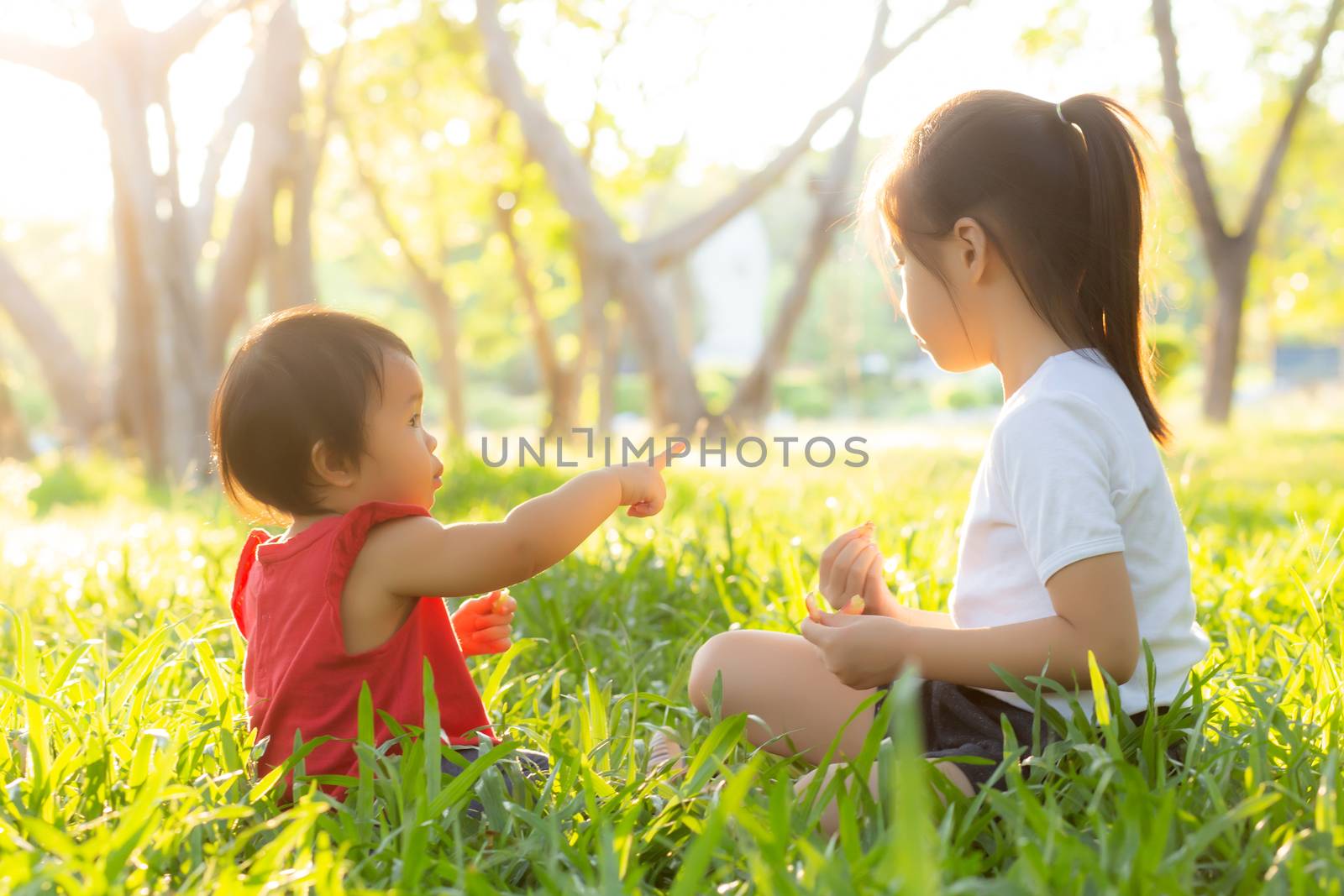 Beautiful young asian kid sitting playing in summer in the park with enjoy and cheerful on green grass, children activity with relax and happiness together on meadow, family and holiday concept.