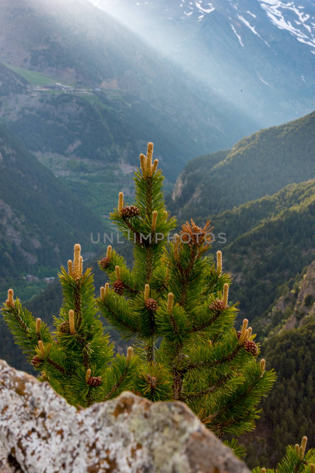 Landscape of Parc Natural Comunal de les Valls del Comapedrosa national park in Andorra.