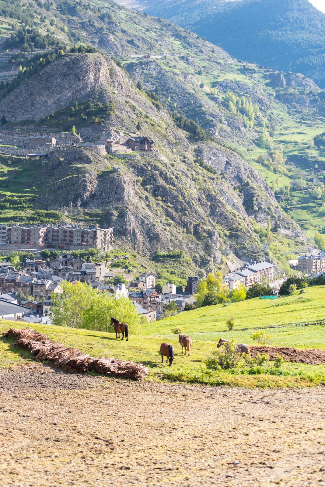 Cityscape of Canillo, Andorra in spring with the church in the b by martinscphoto