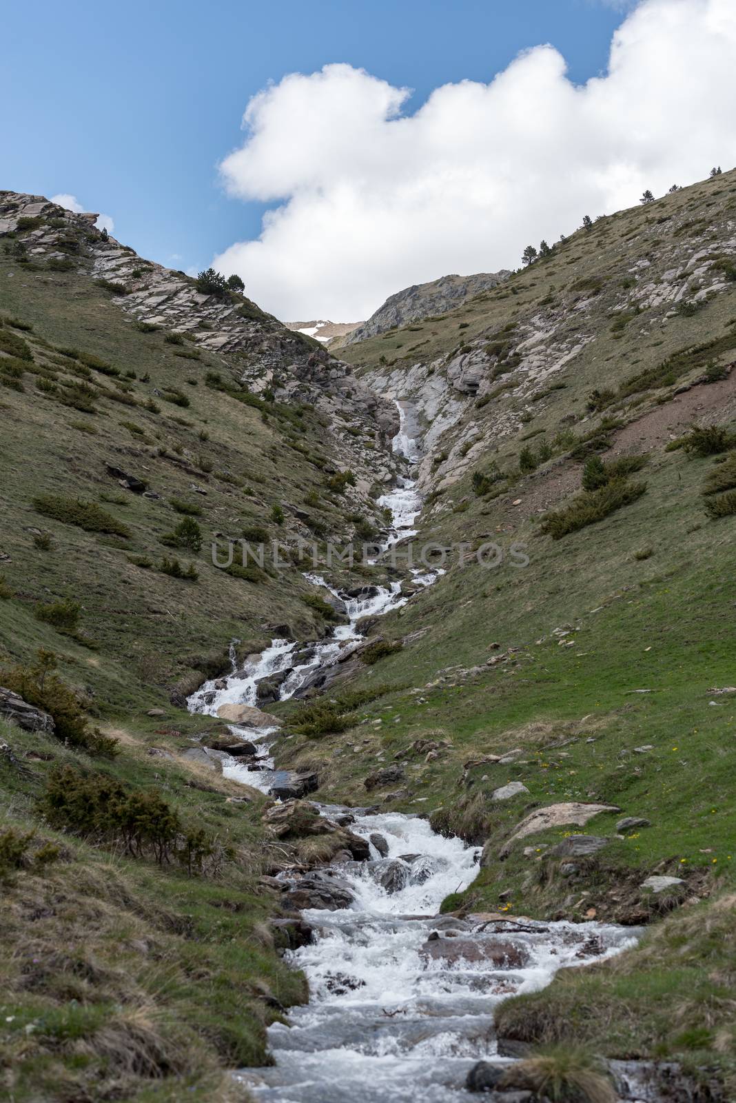 Montaup river in Canillo, Andorra in spring.