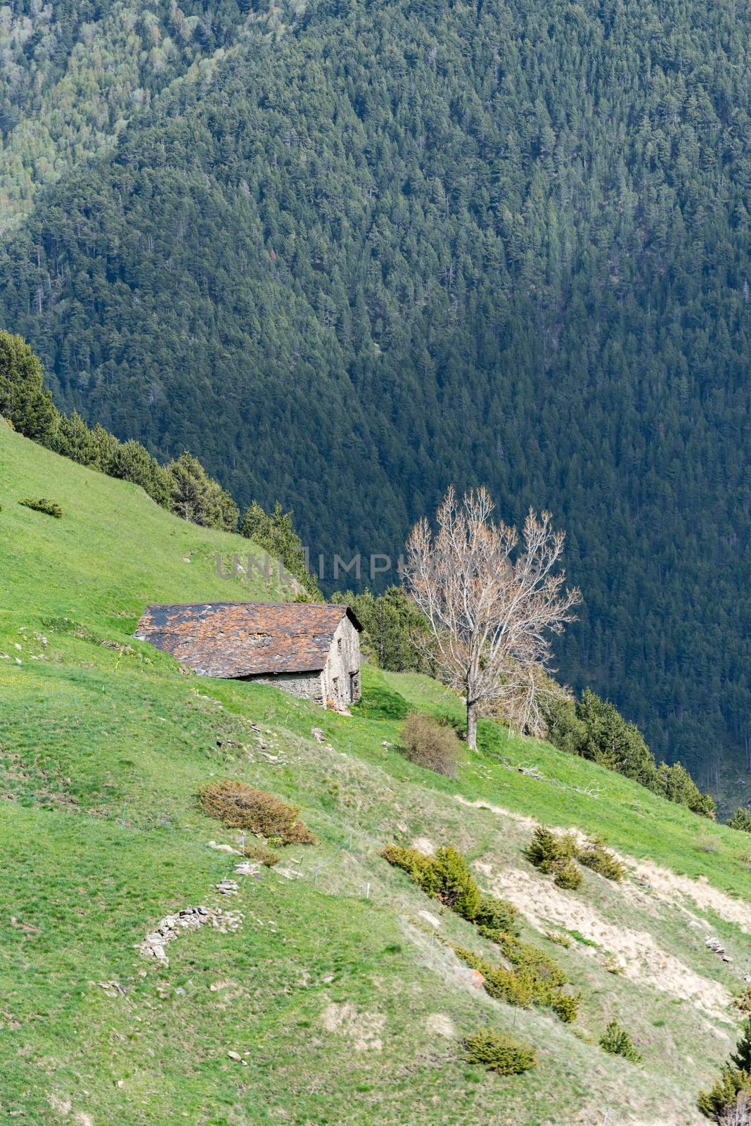 Old House in Montaup river in Canillo, Andorra in spring. by martinscphoto