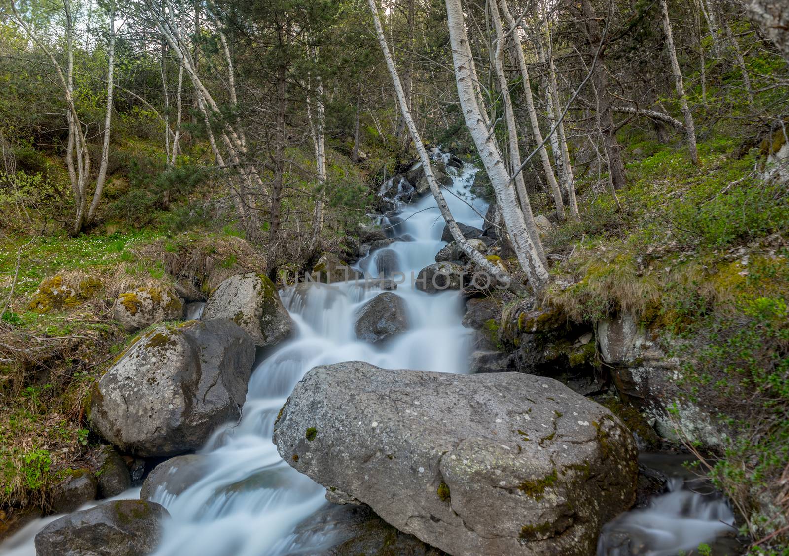 Waterfall in the Riu de la Bor in L Aldosa de Canillo in Andorra in spring
