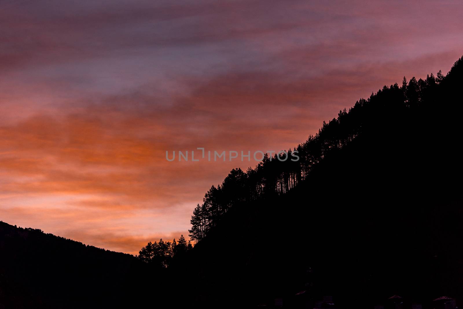 Sunset in the forest on Pyrennes.