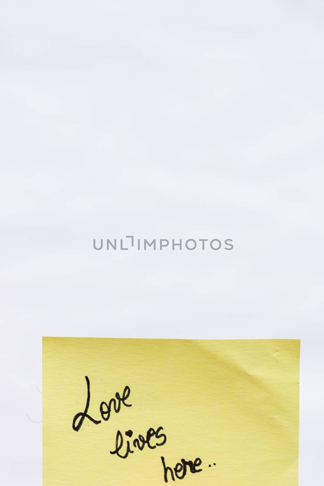 Love lives here handwriting text close up isolated on yellow pap by vladispas