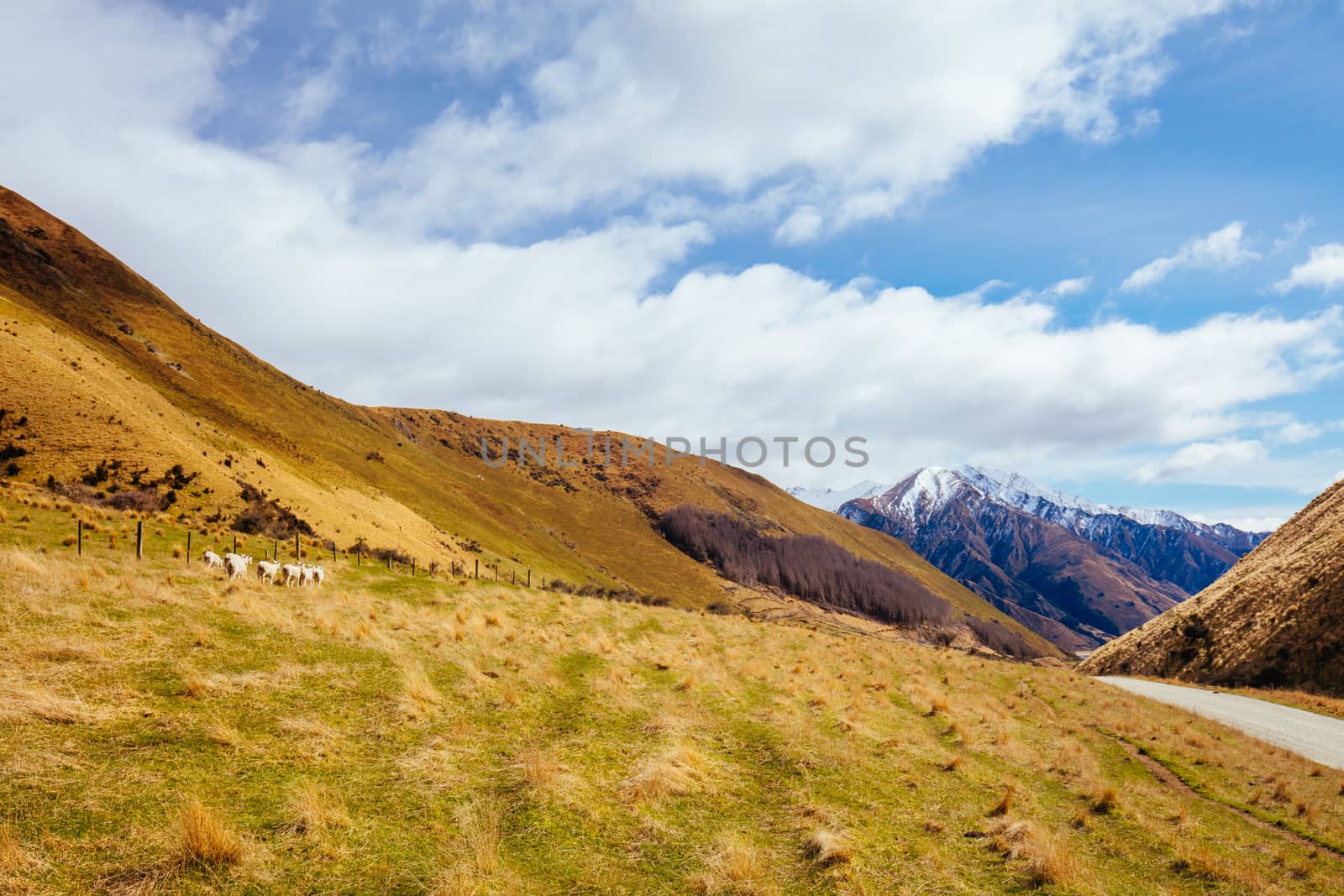 The stunning idyllic Moke Lake near Queenstown in Otago, New Zealand. This secluded, peaceful lake is a popular locale for camping, boating, hiking & horseback riding.