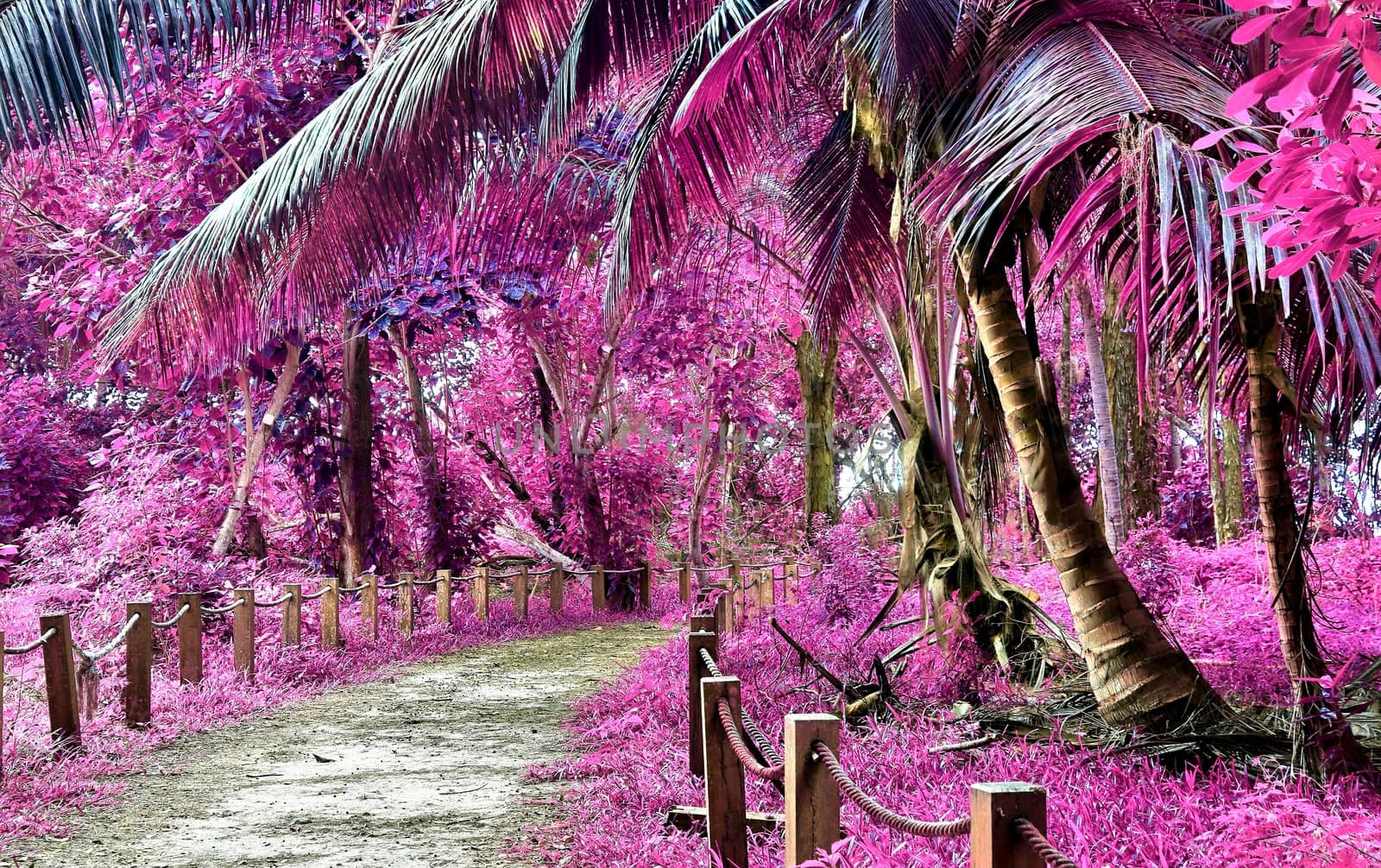 Beautiful fantasy infrared shots of palm trees on the seychelles by MP_foto71