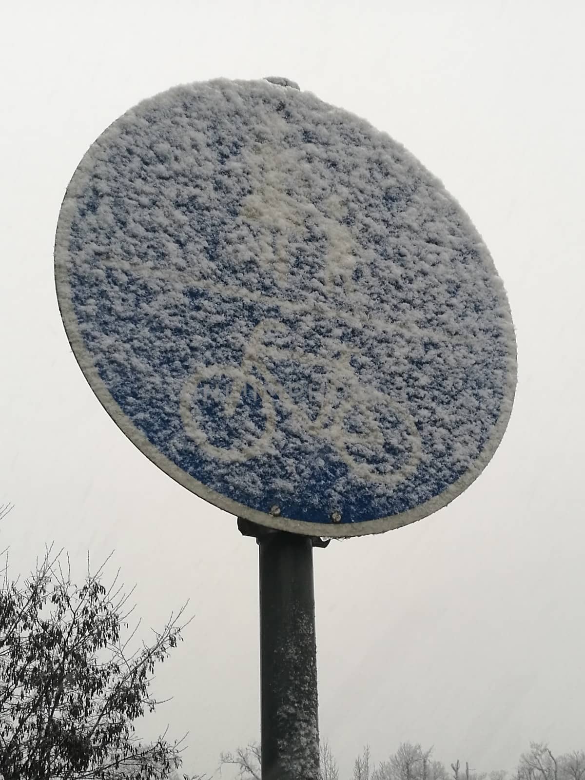 Blue pedestrian and cyclists traffic sign under snow