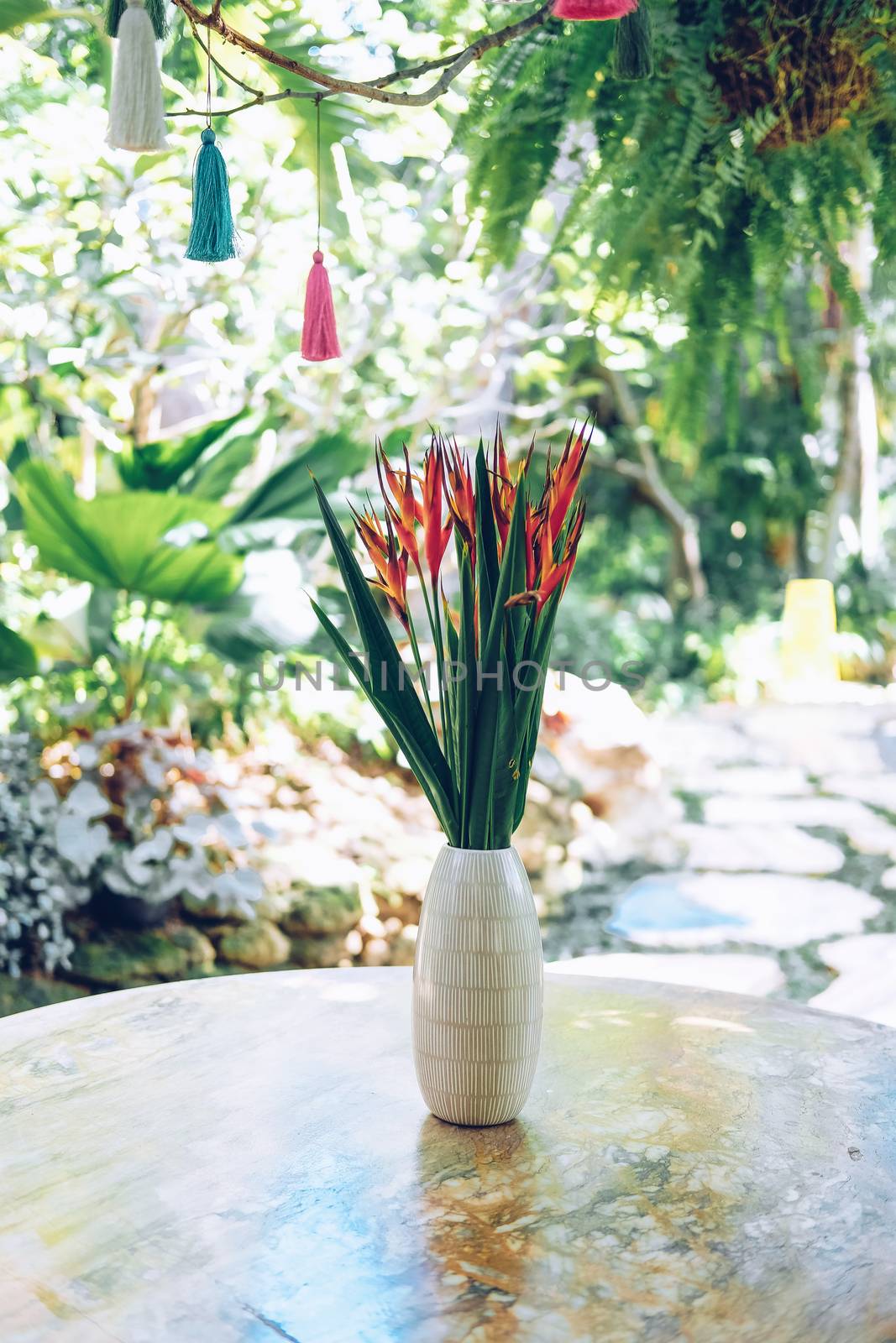 bird of paradise flower in vase for decoration in garden