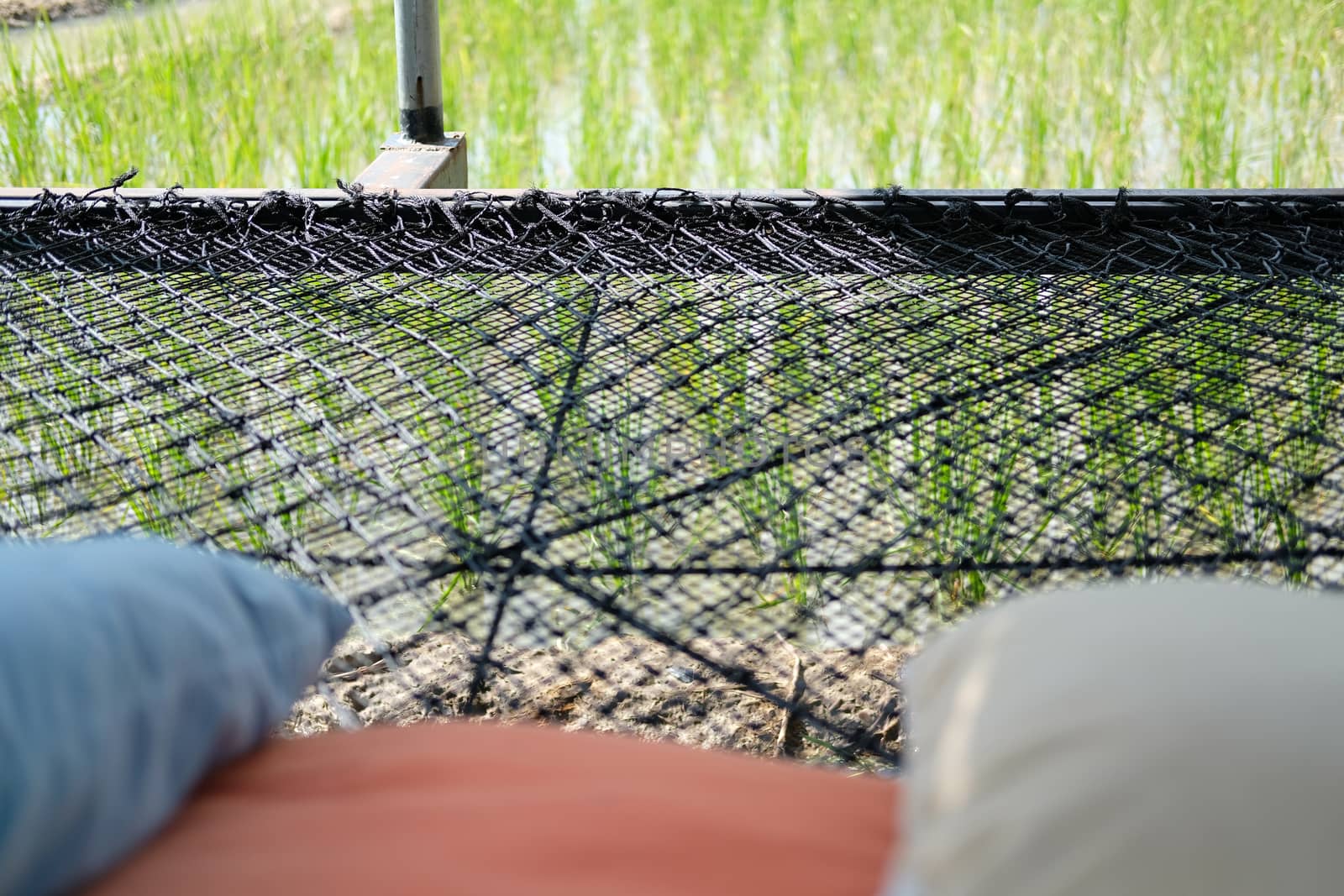 black thread rope net bed pillow for sleeping beside rice paddy field