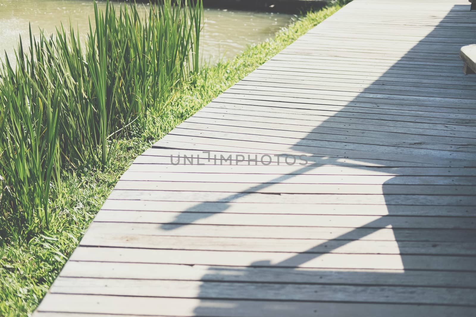 wooden walkway & green leaves in garden park