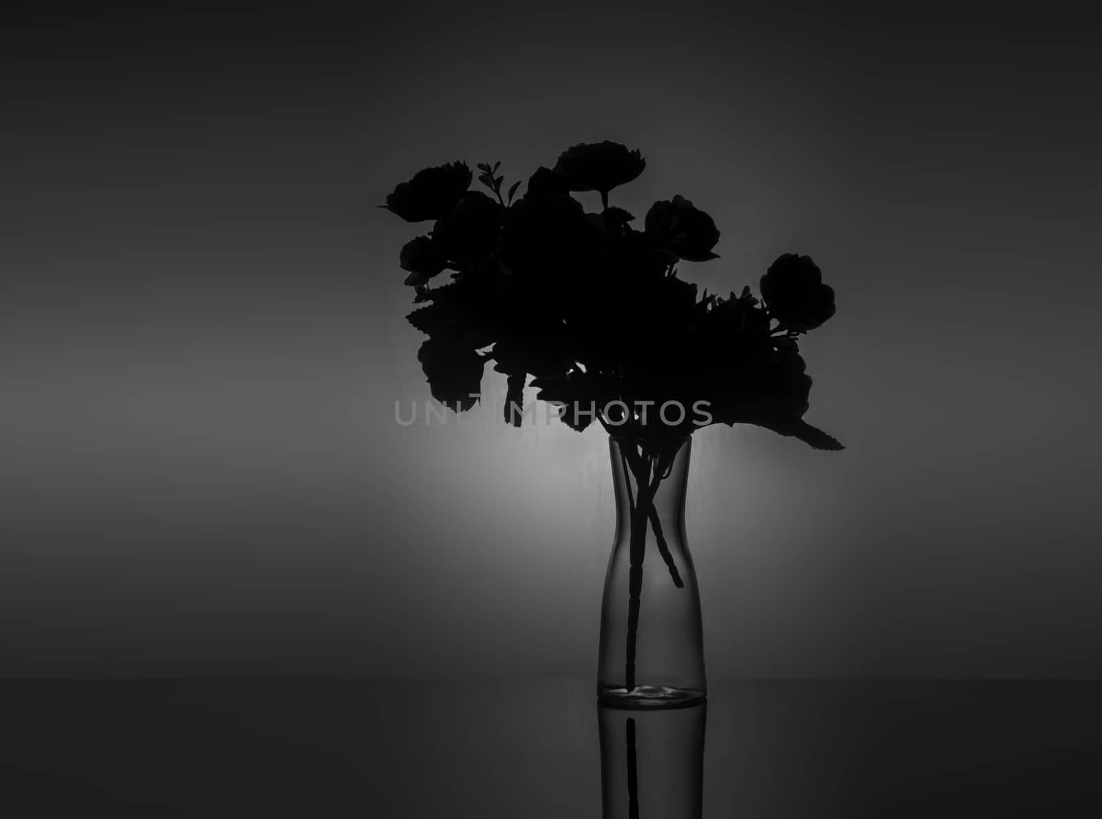 Transparent vase with flowers on a dark background with back light.