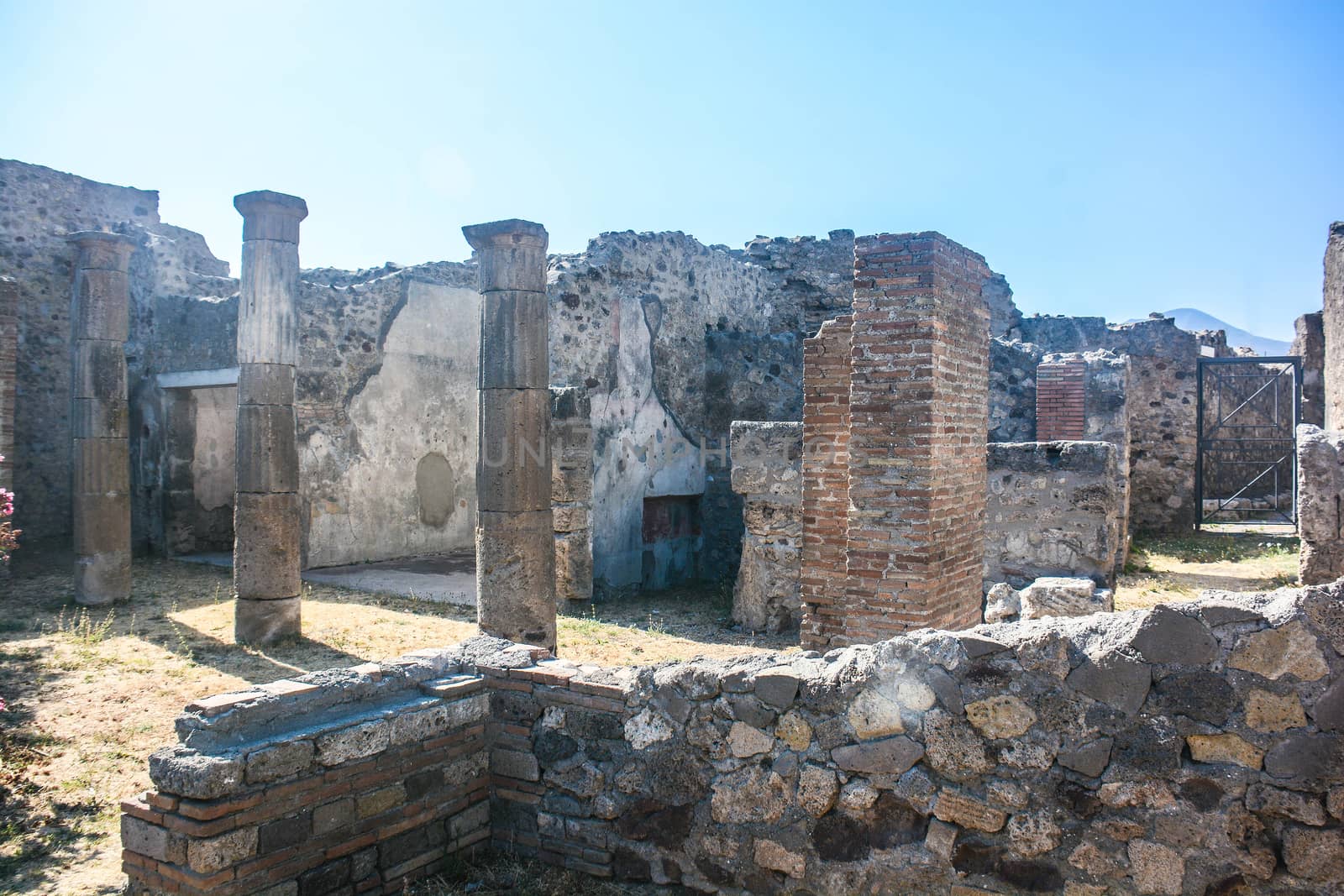 internal garden of a house in Pompeii