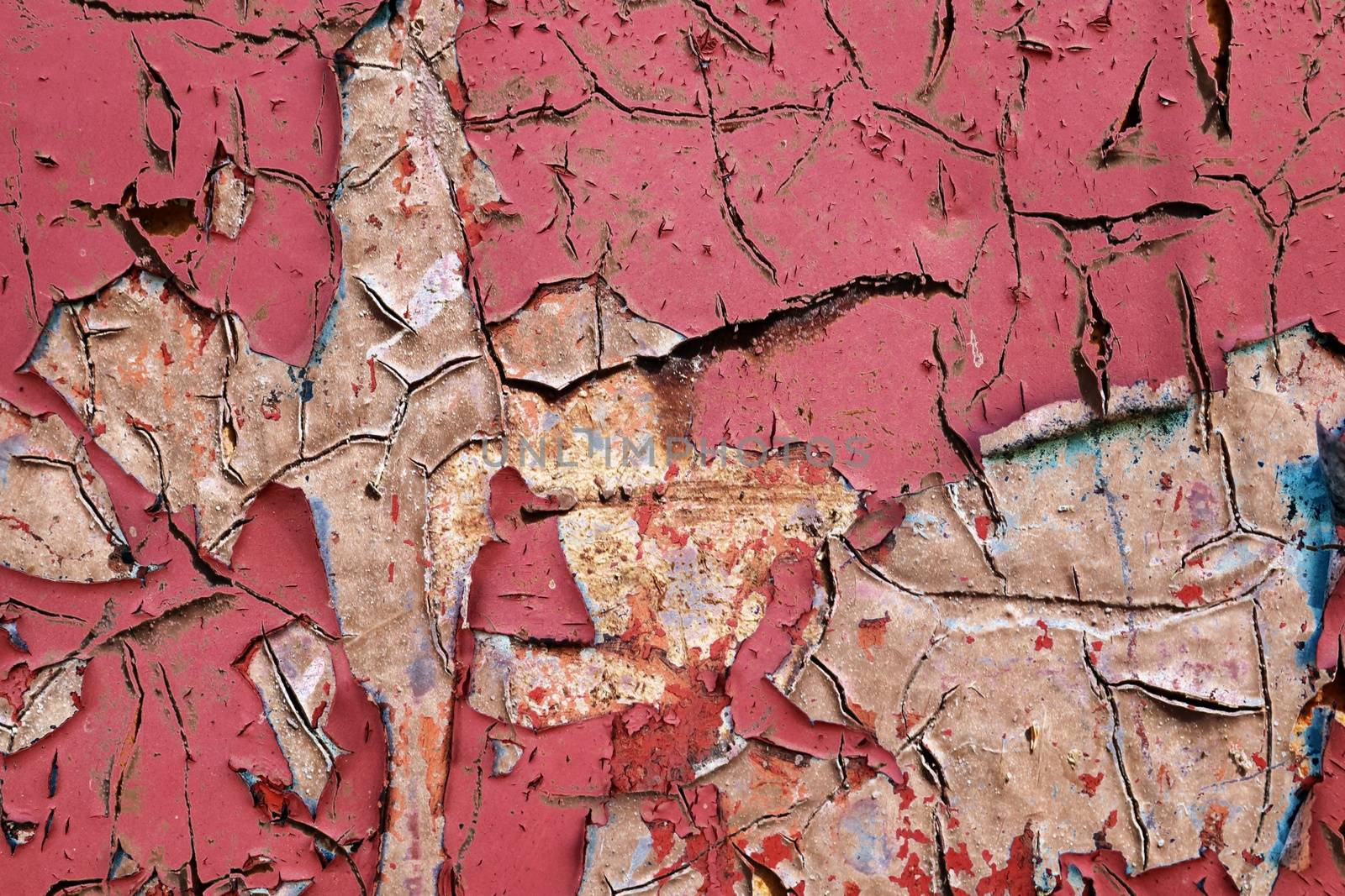 Detailed and colorful close up at cracked and peeling paint on concrete wall textures in high resolution.