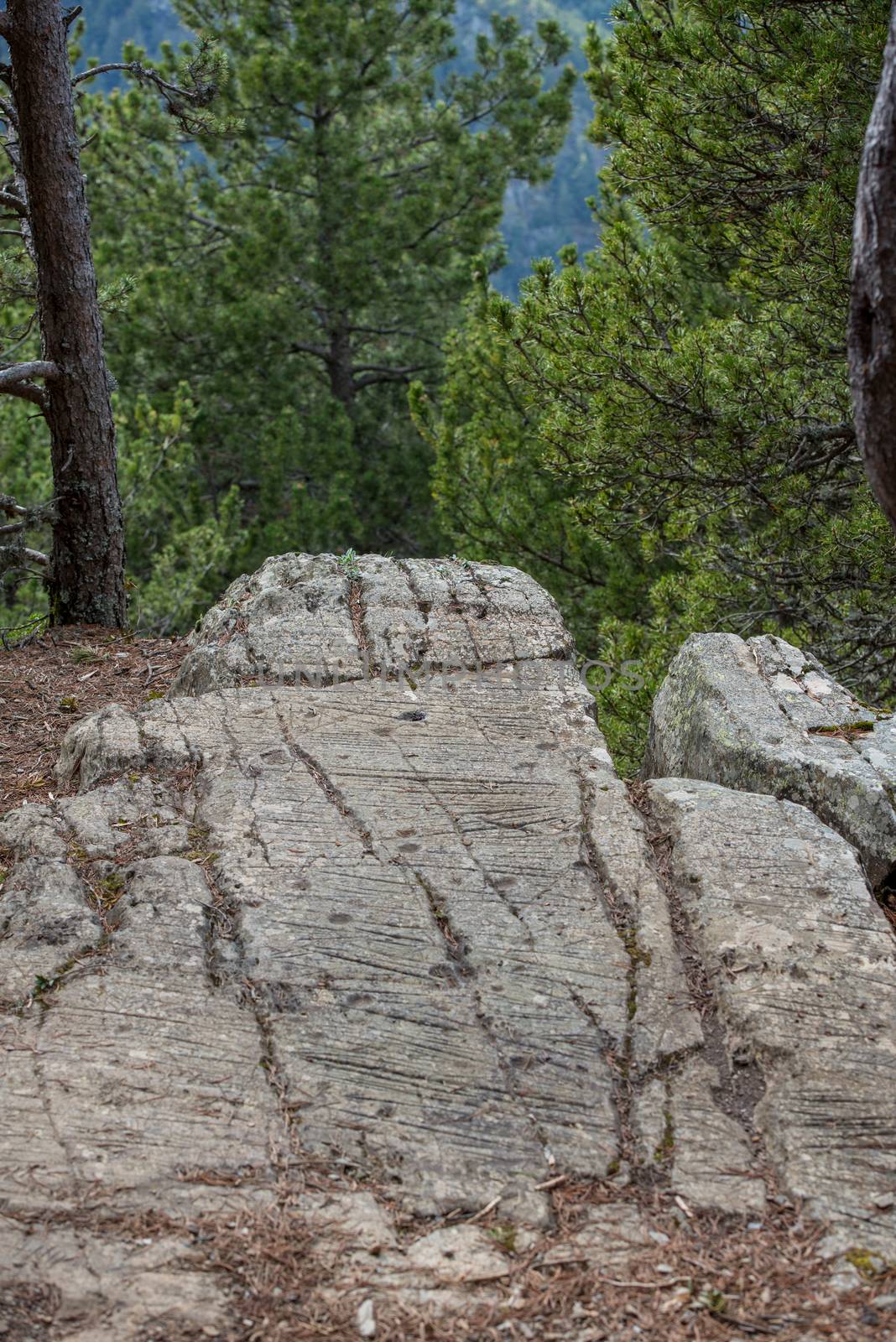 Canillo, Andorra : 2 MAY 2020 : Sunny day in the roc de les Bruixes is a set of prehistoric rock engravings from the Bronze Age in Prats, Canillo, Andorra.