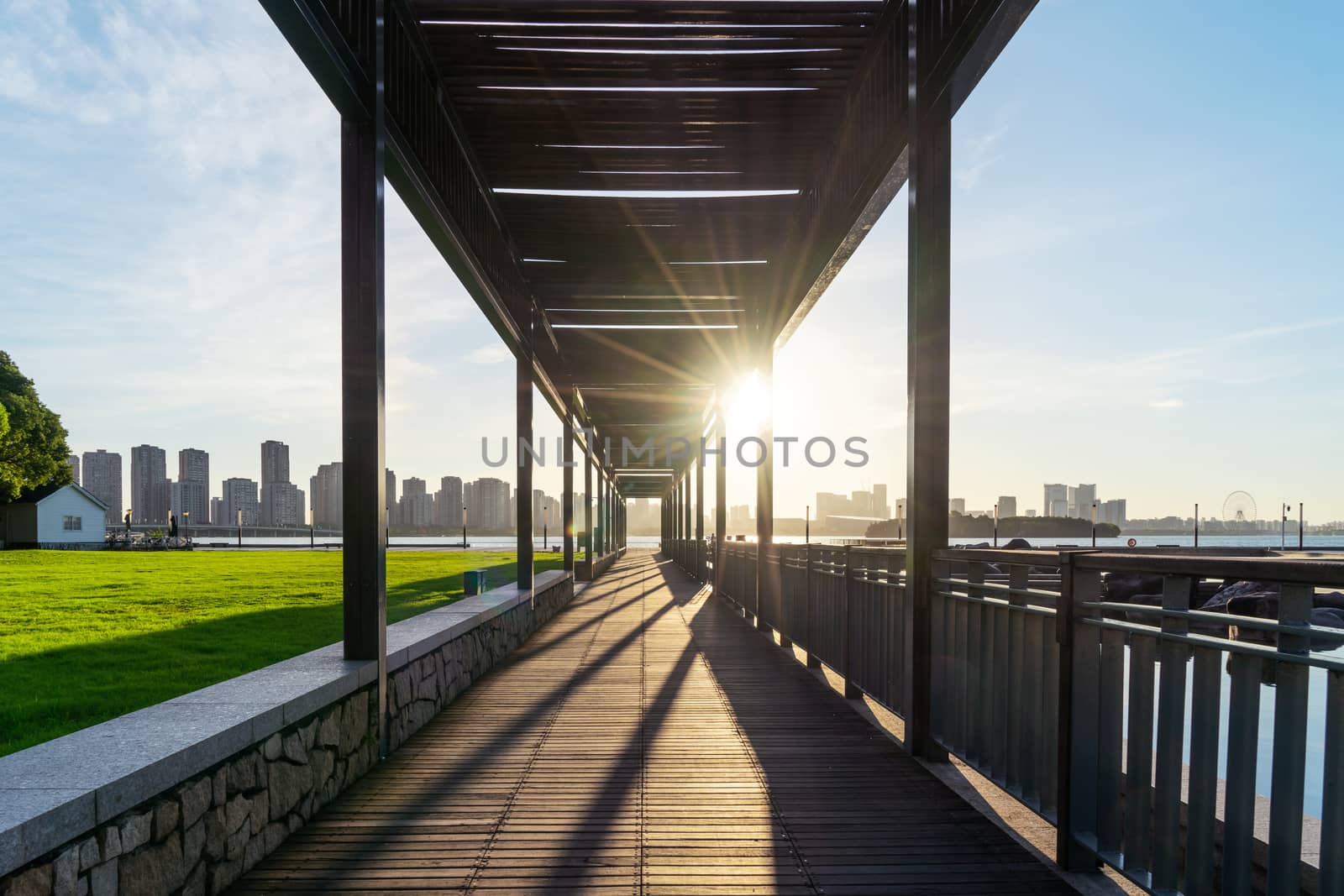 The plank path in the park on a sunny morning. by vinkfan