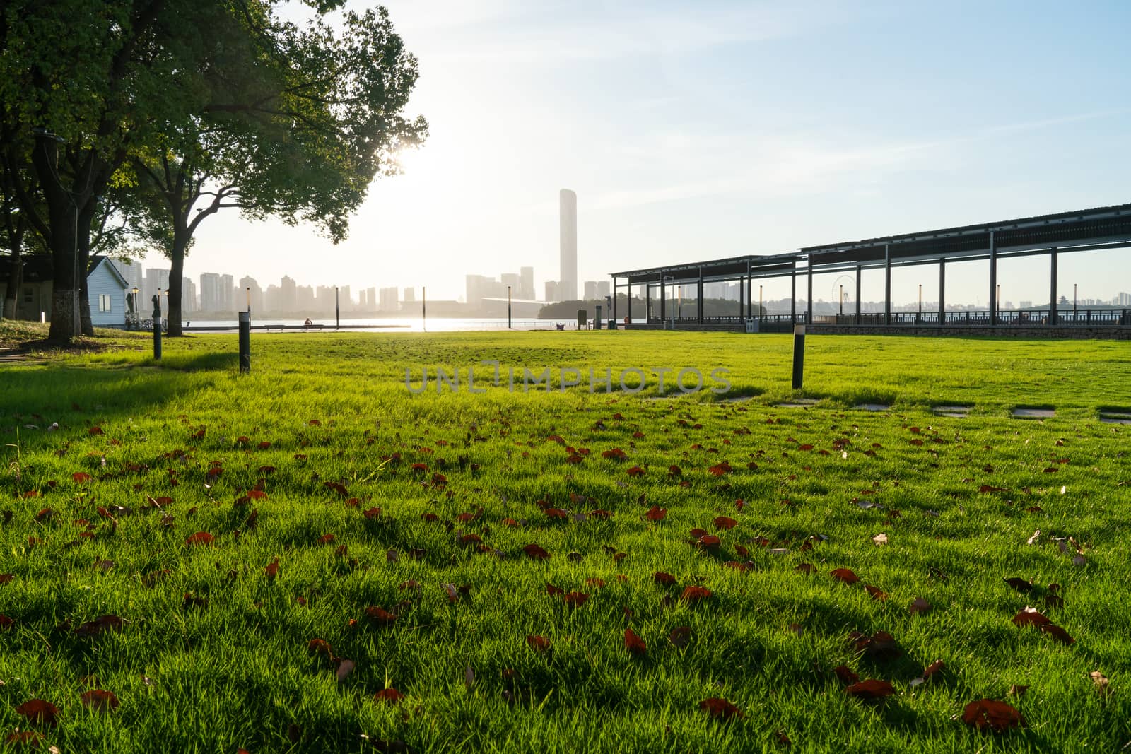 The sun on the grass in a morning of the city. Photo in Suzhou, China.
