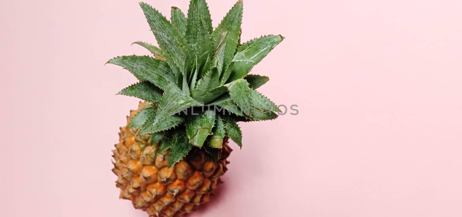 tasty and healthy orange colored pineapple closeup on pink colored background