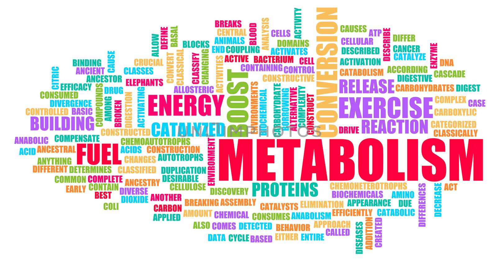 Metabolism in Your Body Chemical Reaction Concept