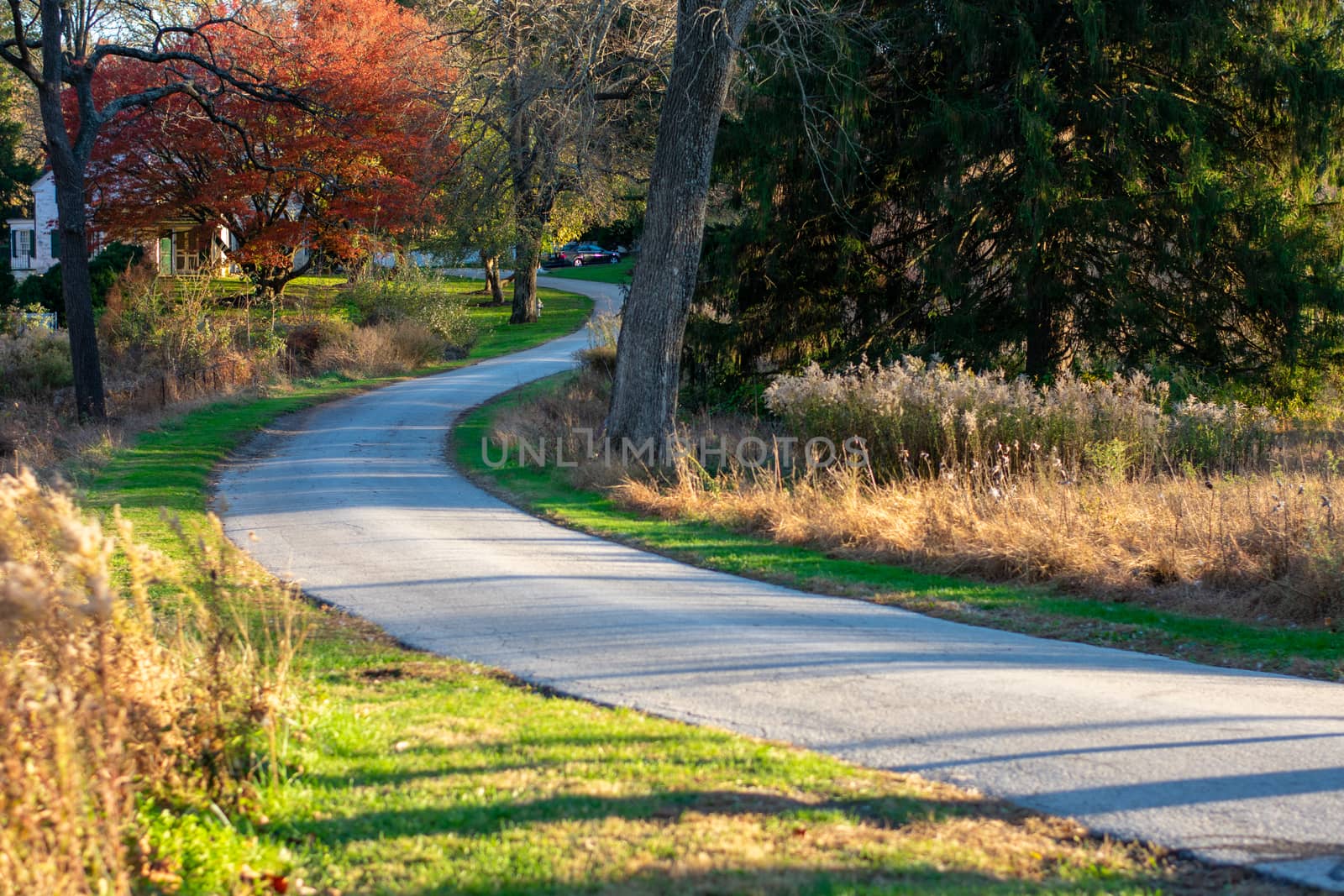A Paved Path Leading Into an Autumn Forest With the Willcox Memorial Library at Valley Forge