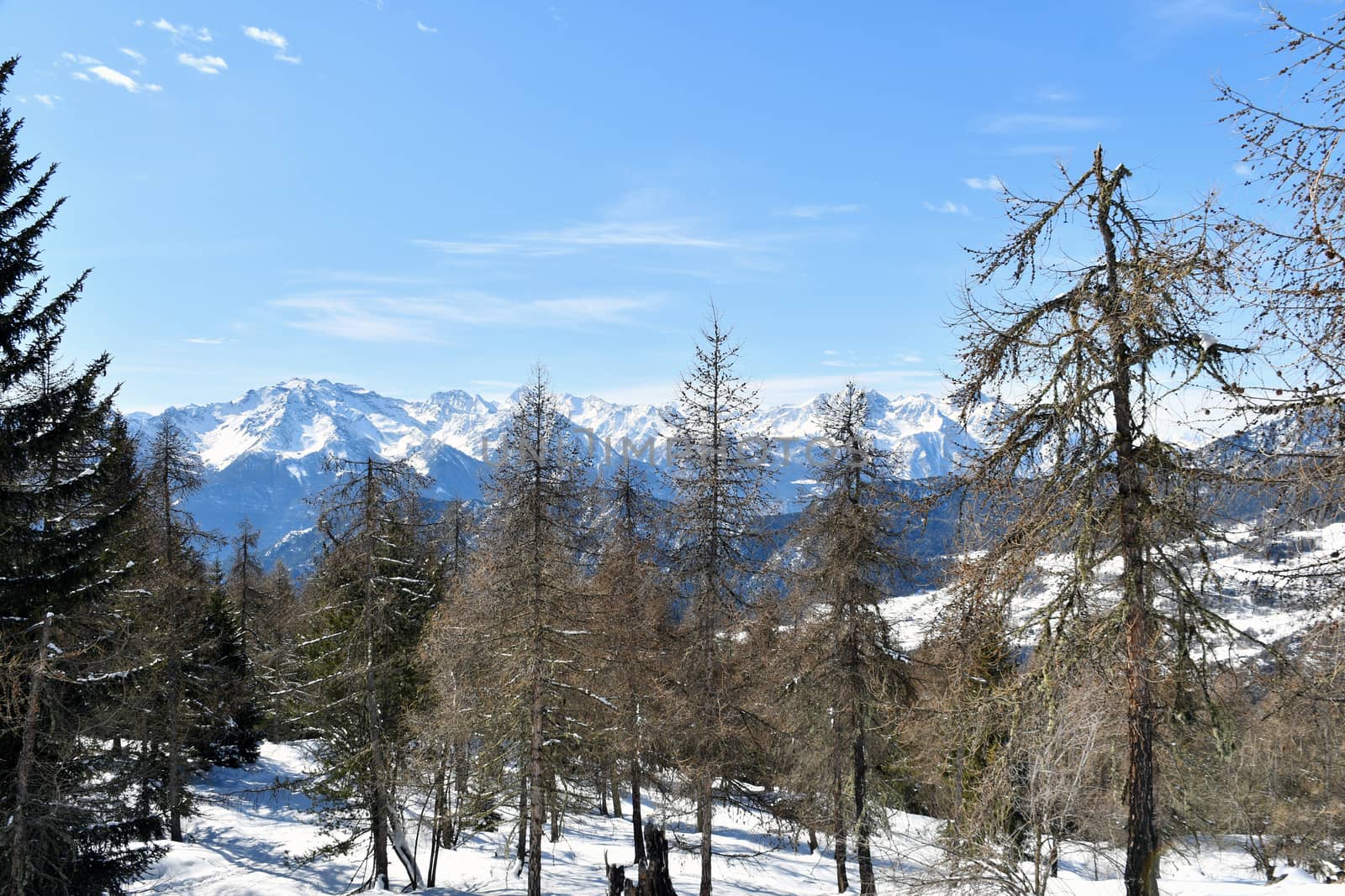 Mountain landscape seen from Chamois in the Aosta Valley