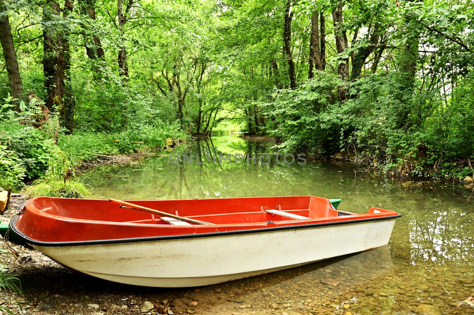 An old fishing boat, in a small stream with a dense forest