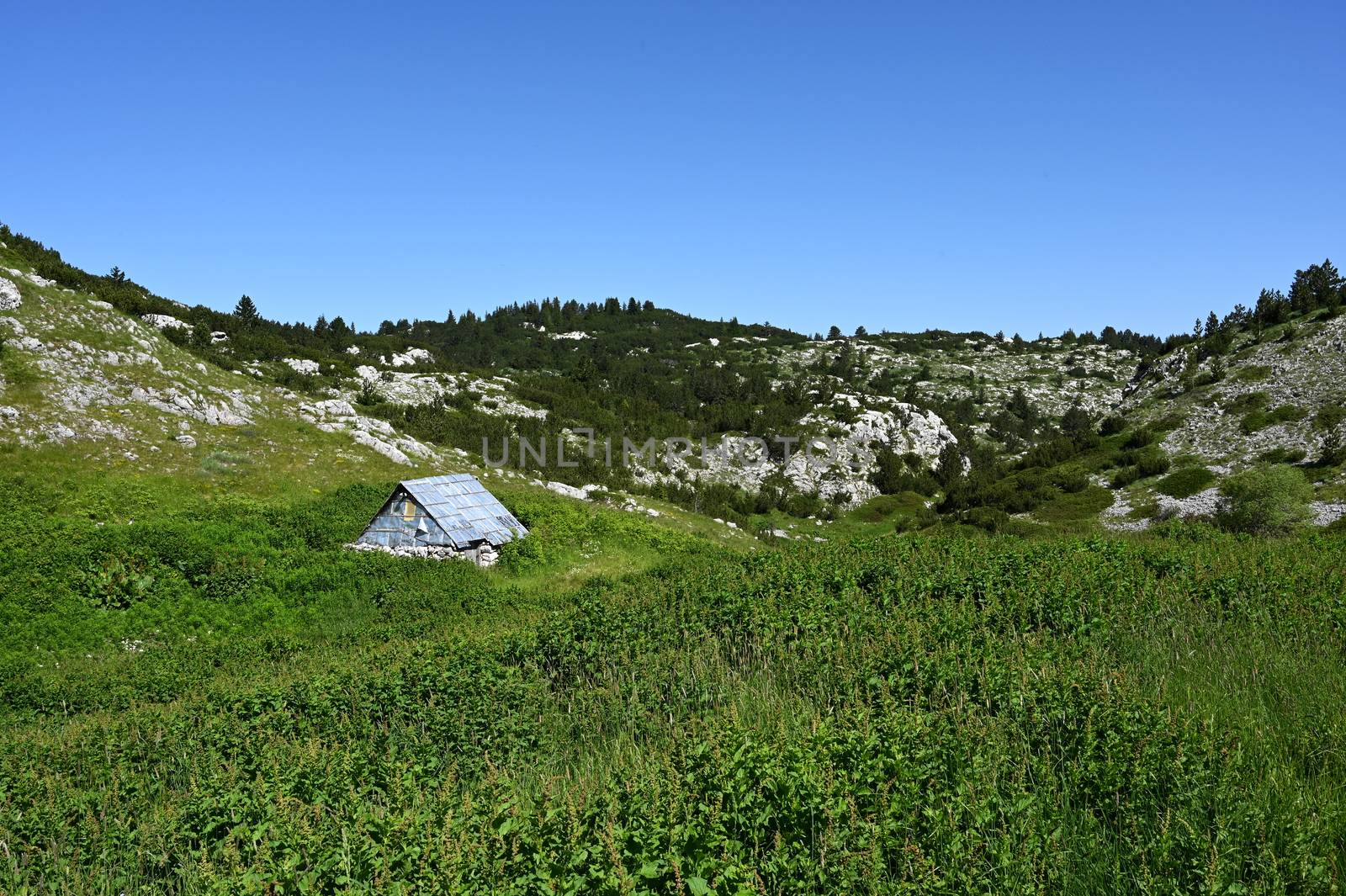 Shepherd's hut at road to Hajdučka vrata, Bosnia and Herzegovina