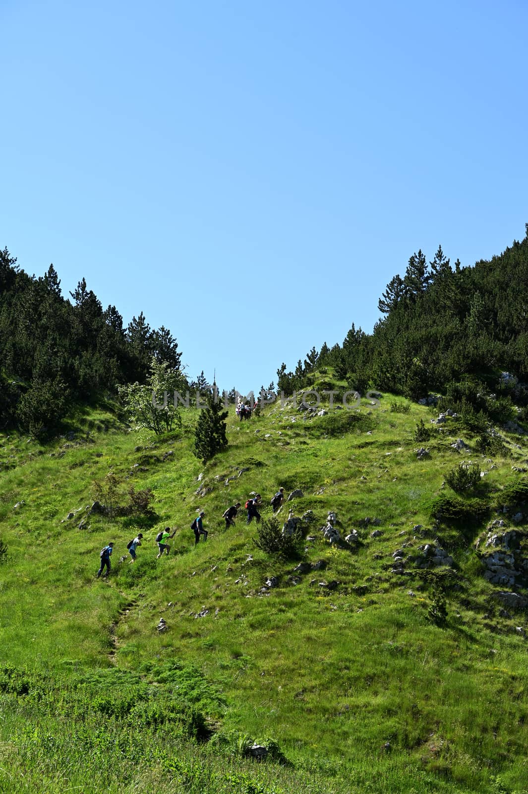 Group of hikers, climbing the top of Čvrsnica mountain, Bosnia and Herzegovina