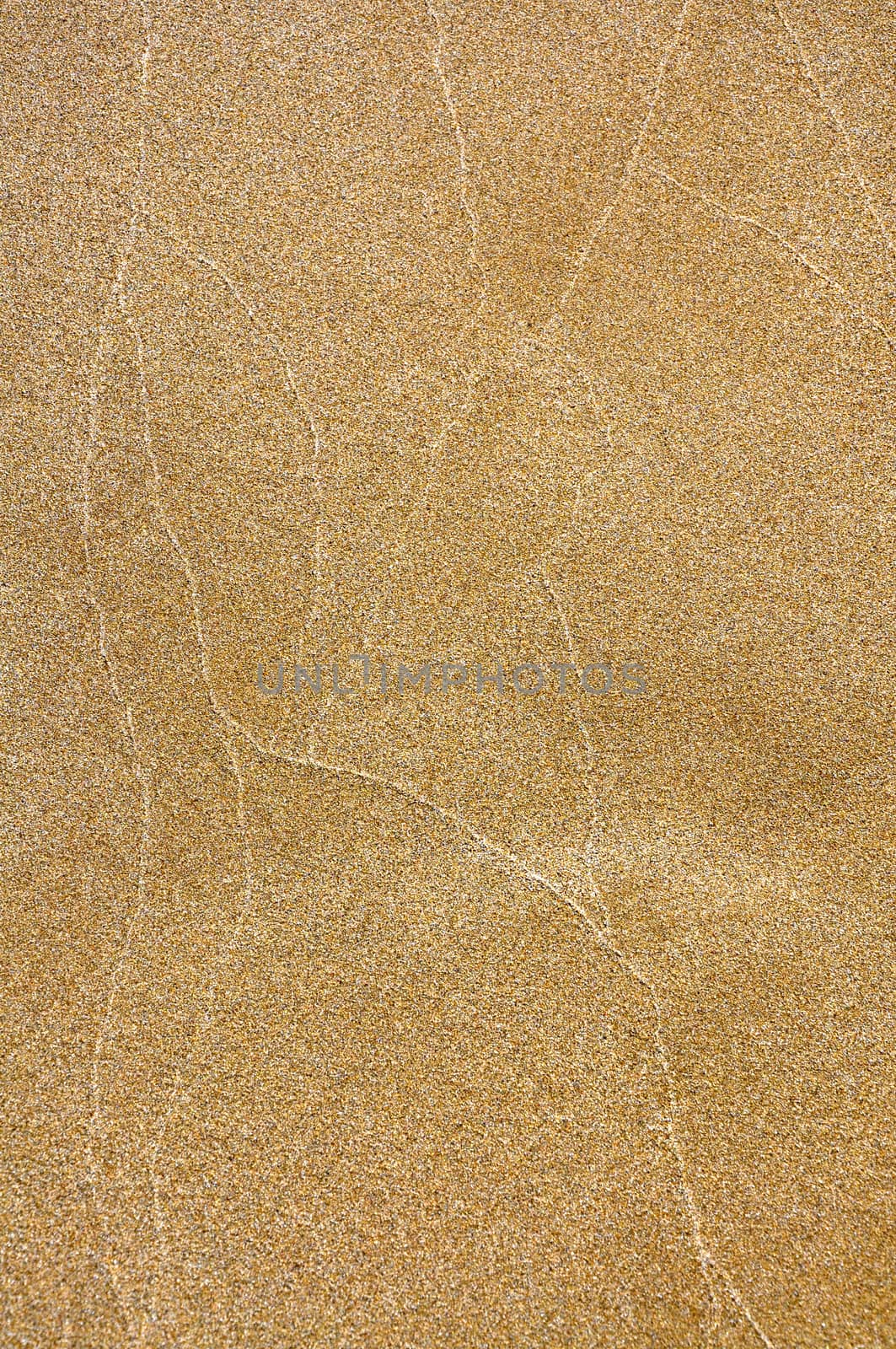 Sand texture on turtle beach during vacation in Cyprus