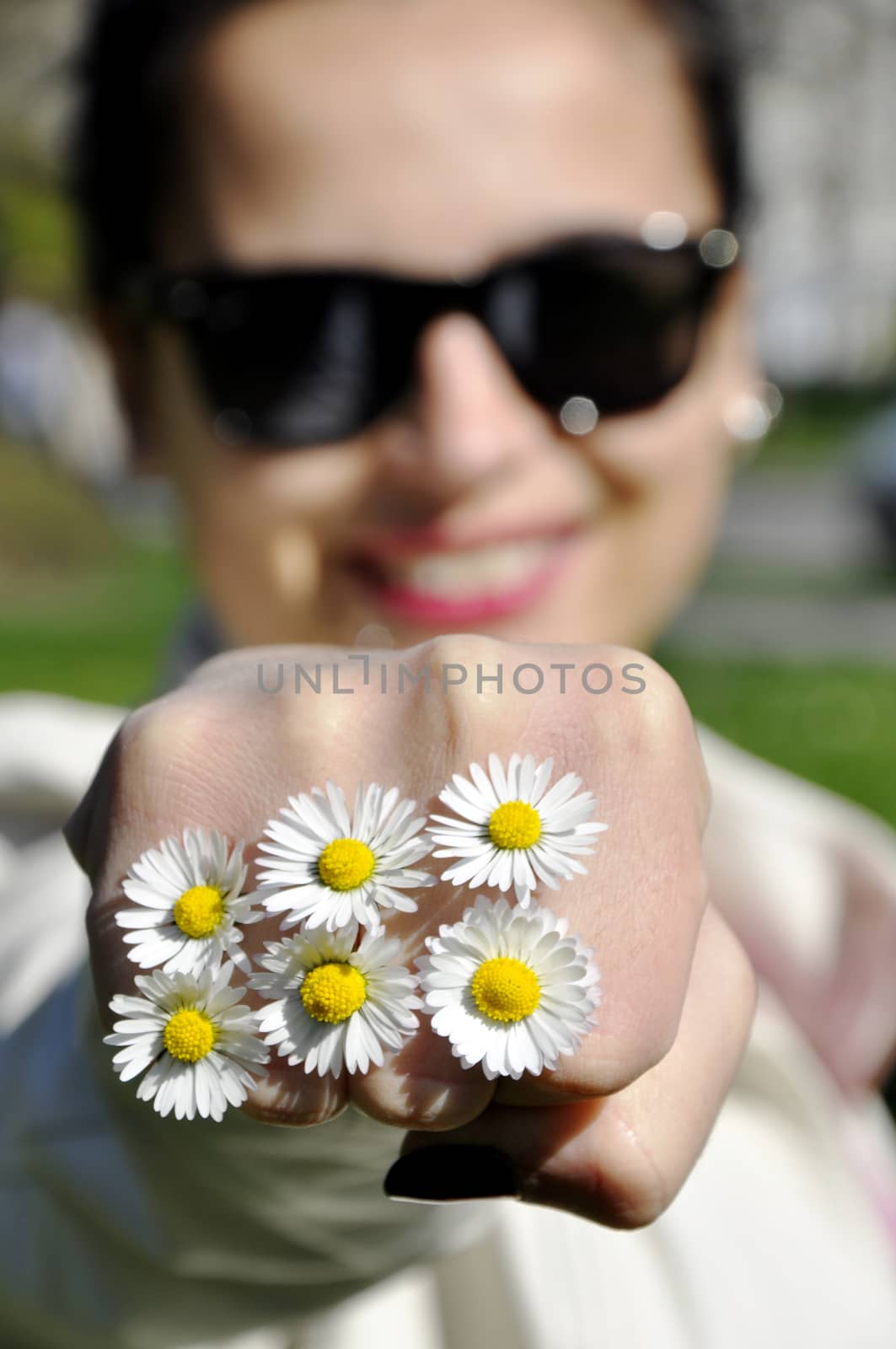 Common white daisy from garden in hand of girl