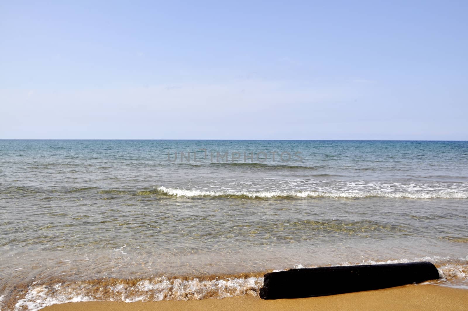 Crystal clear water and wood log on sand beach in Cyprus