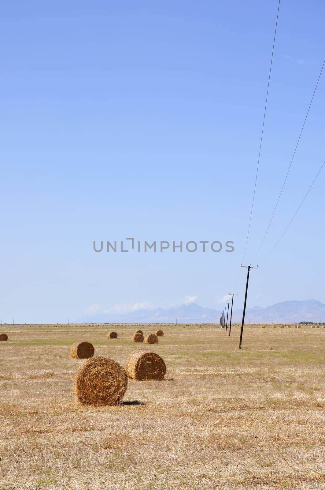 Hay bales on the field after harvest, in the middle of Cyprus
