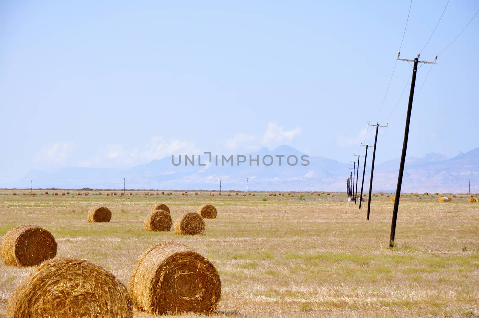 Hay bales on the field after harvest, in the middle of Cyprus