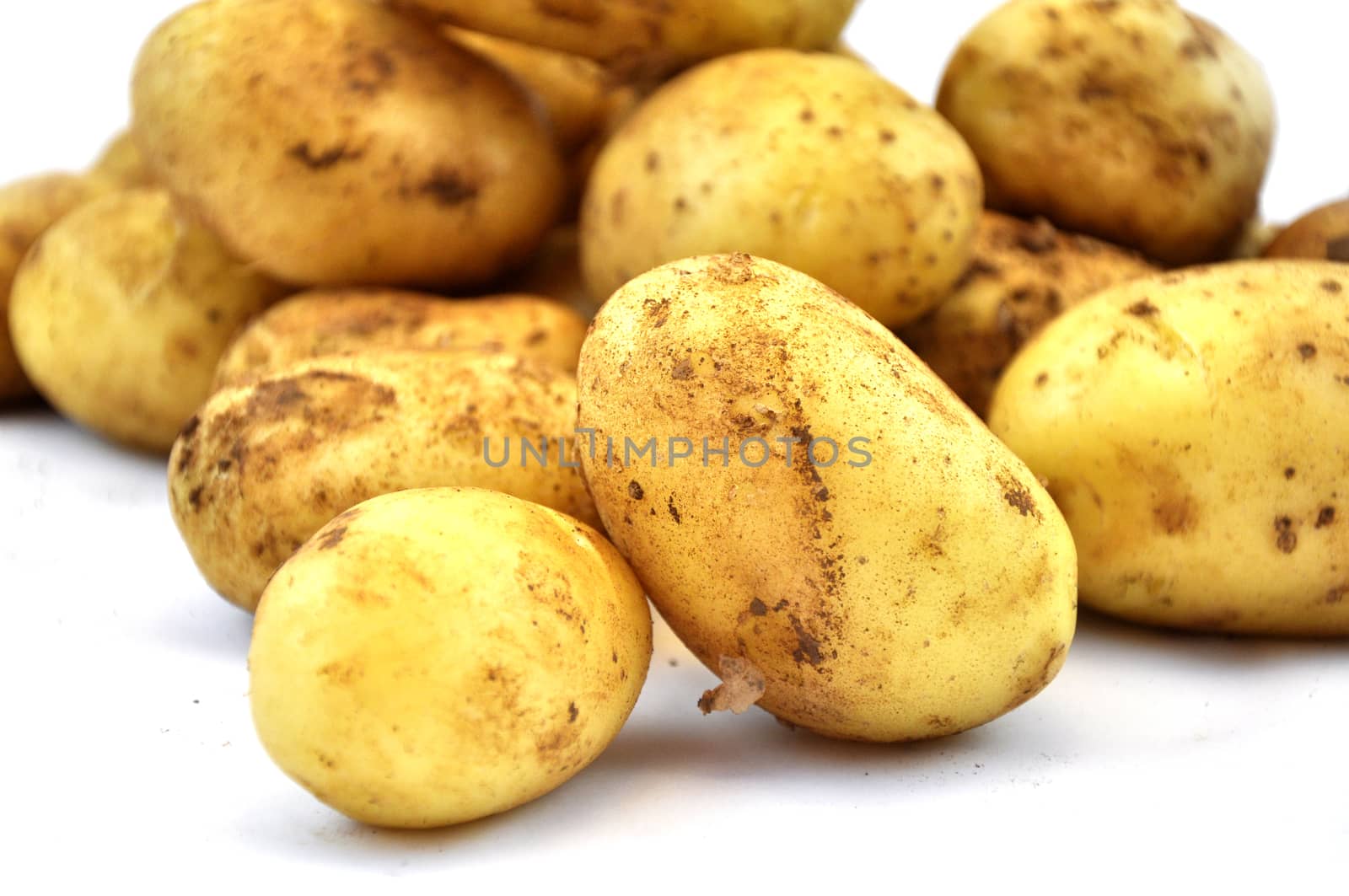 Fresh raw potato on white background