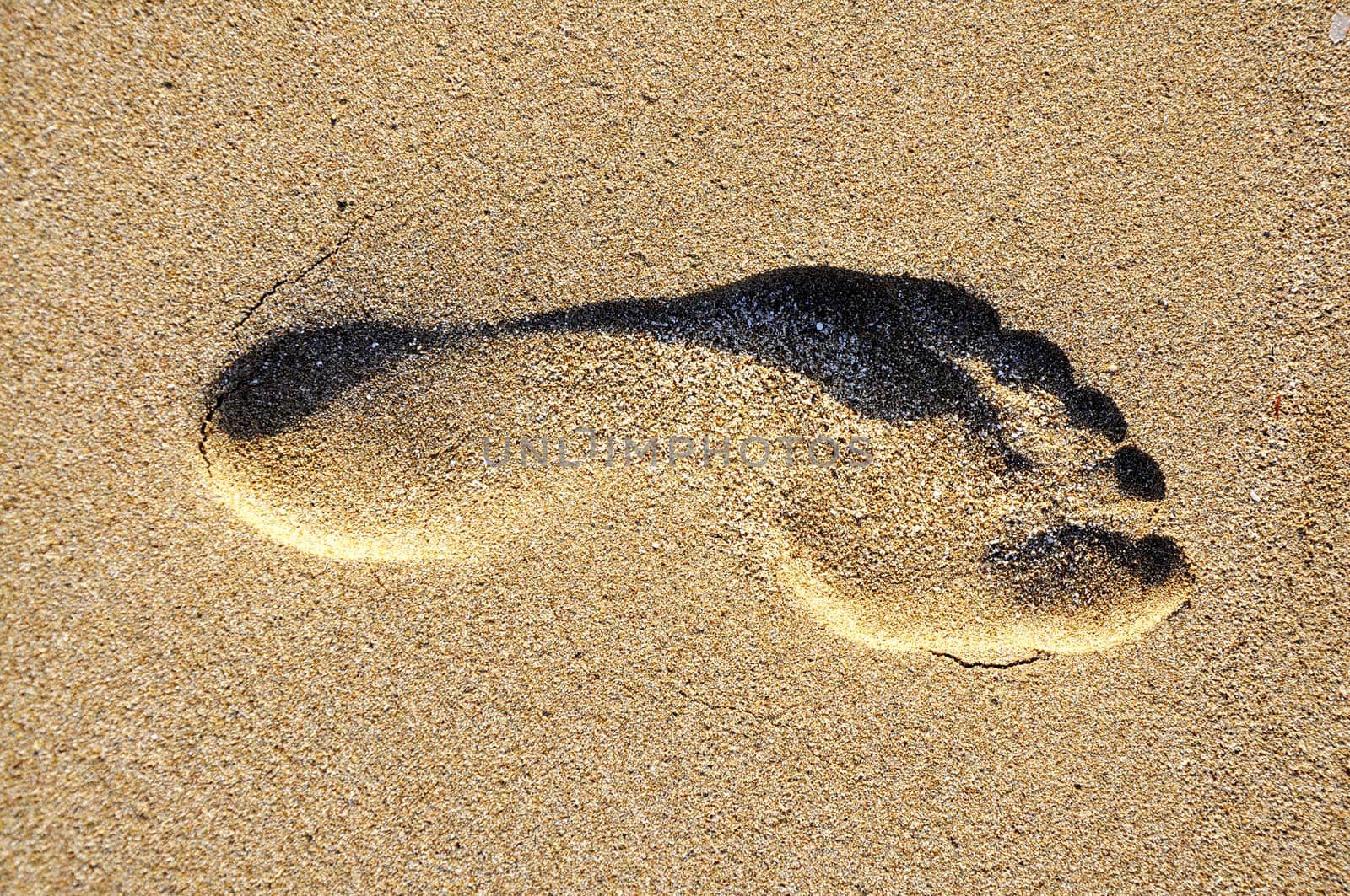 Sandy beach, waves, walking on the beach, footprints in the sand.