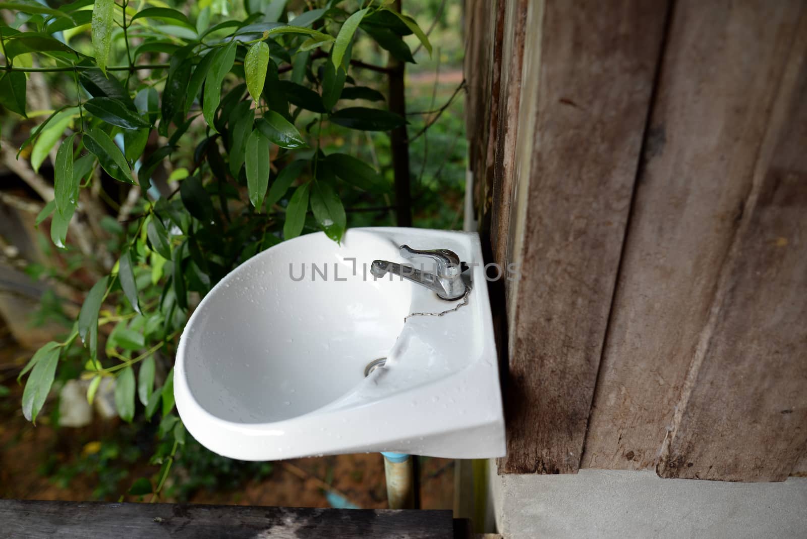 A white ceramic washbasin is attached to an old wooden wall with a plant background.