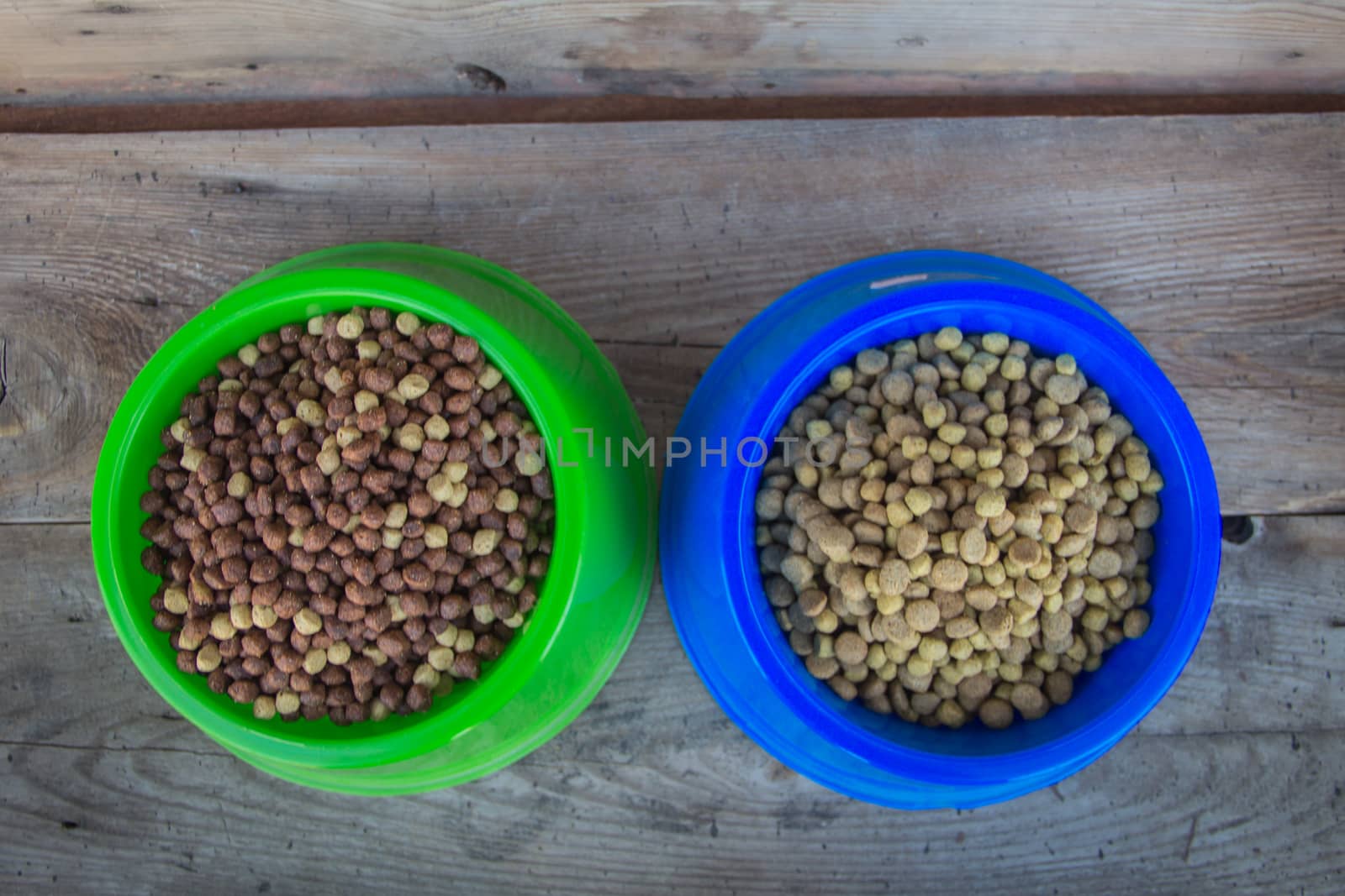 dishes filled with pellets balanced food for dogs