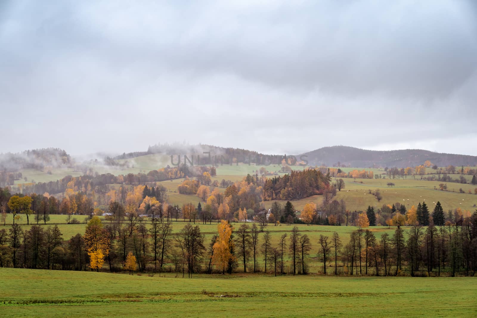 autumn rural panorama with a view of the village, trees and fields by Edophoto