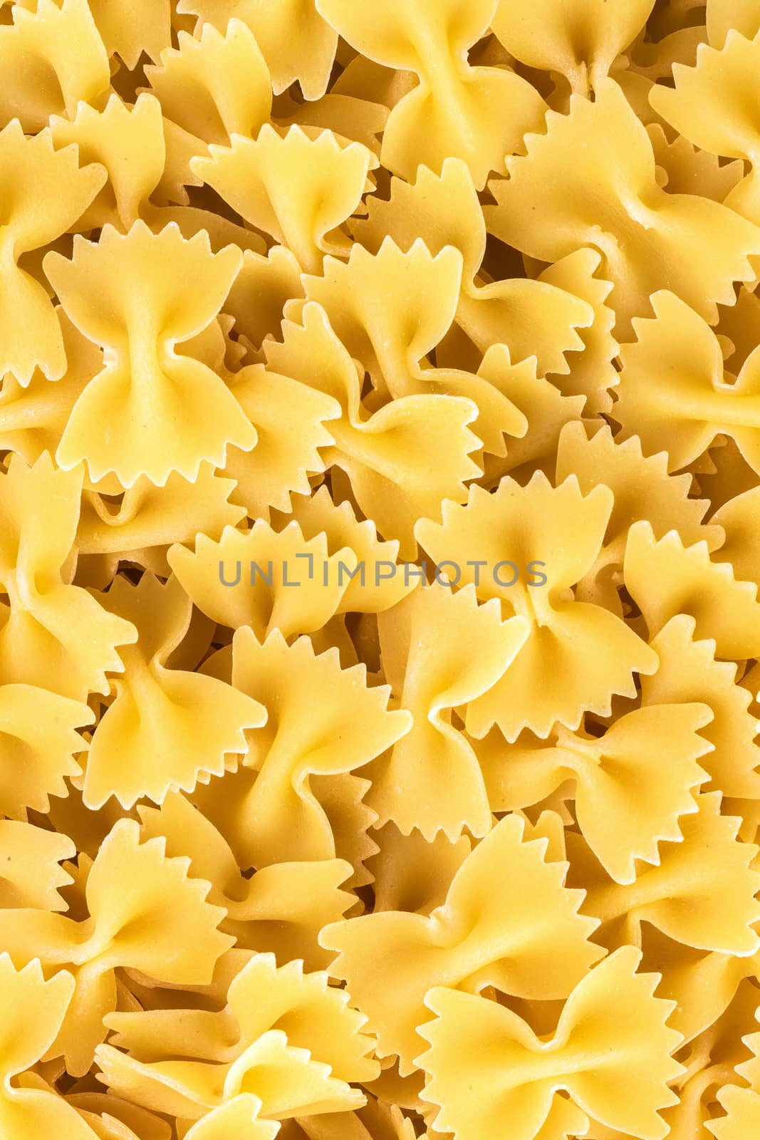Famous variety of type and shape of Italian pasta. Dry pasta bows "farfalle". Heap of bow tie macaroni. The name of this pasta type is derived from the Italian word "farfalla" (butterfly).