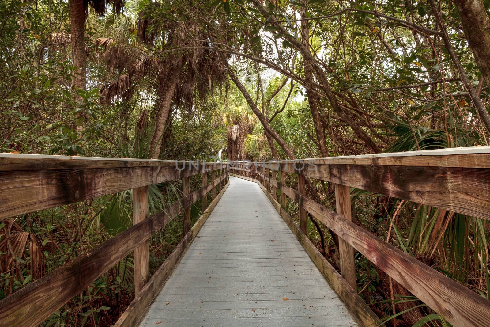 Fort Myers, Florida, USA – November 1, 2020:  Boardwalk that extends through Manatee Park in Fort Myers, Florida.