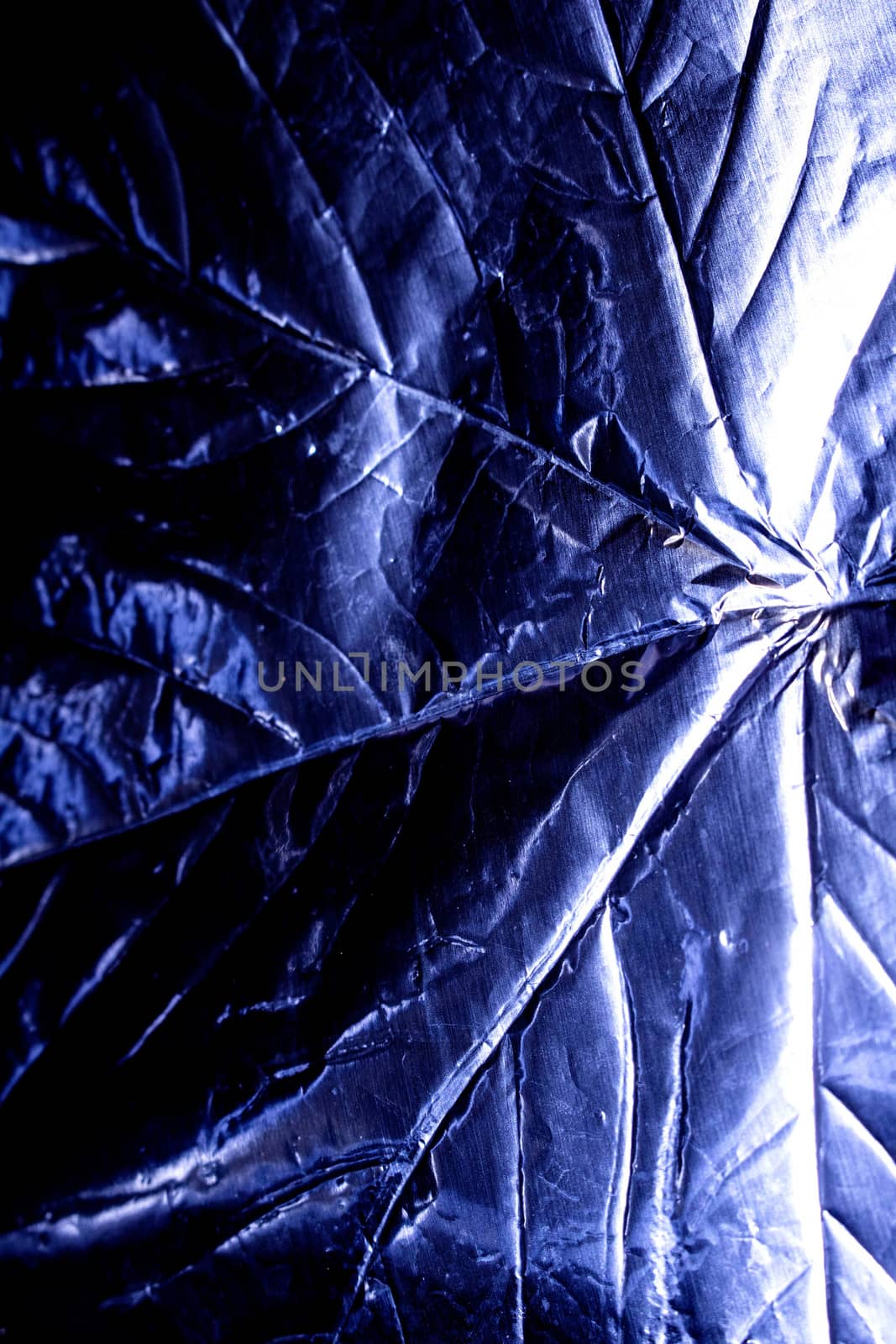 A Holographic Foil Leaf and Leaves with Veins Texture Shiny Pattern