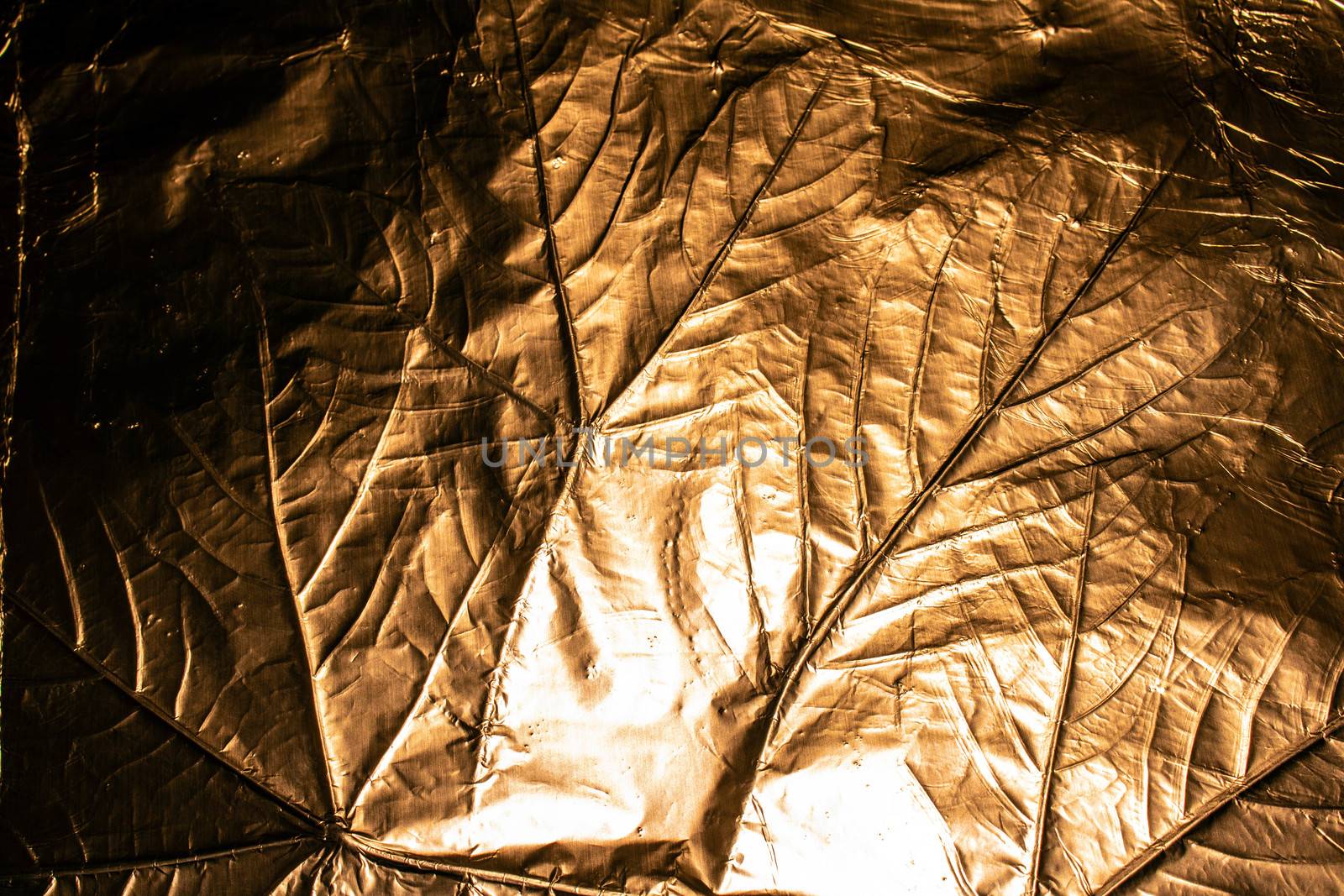 A gold Holographic Foil Leaf and Leaves with Veins Texture Shiny Pattern