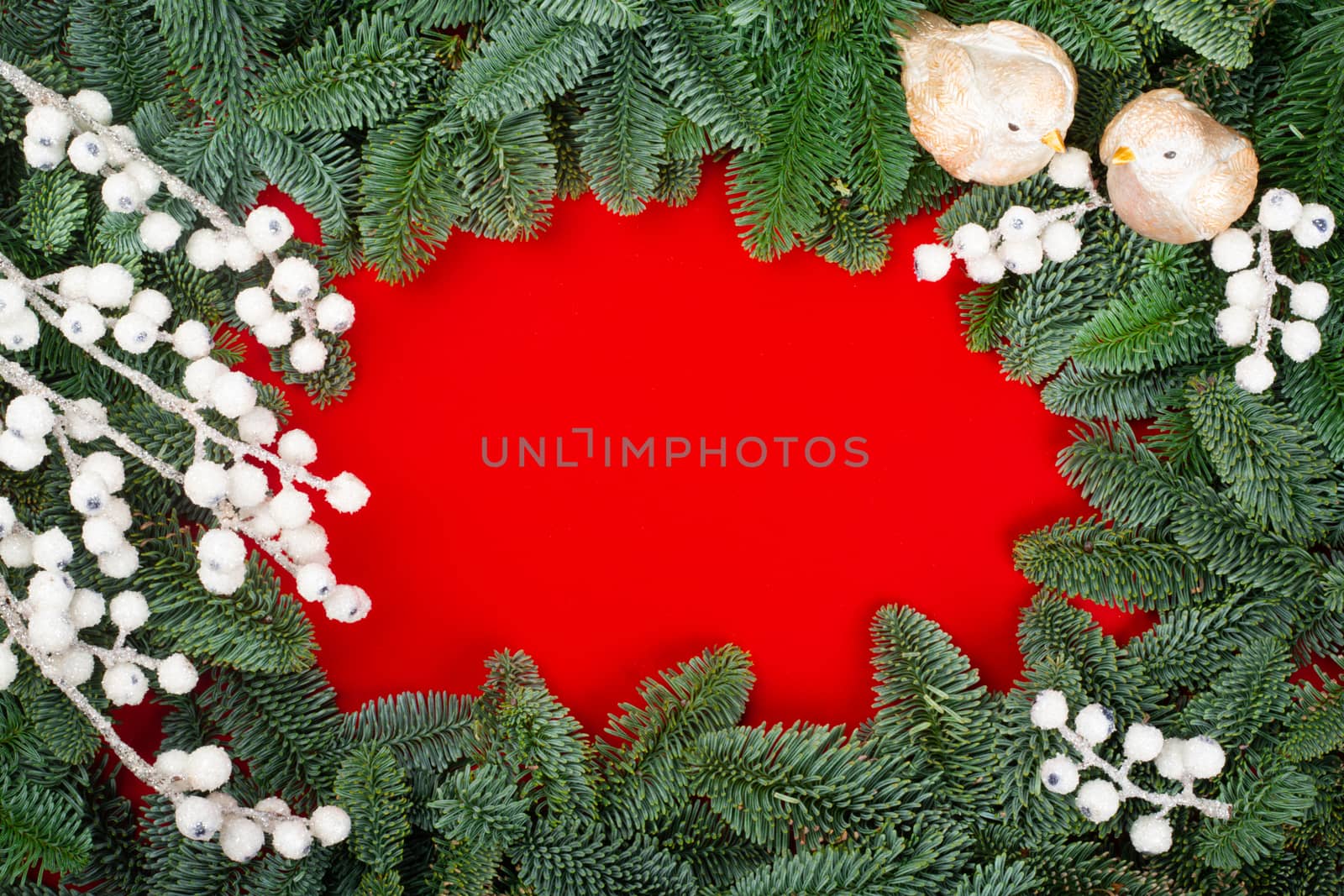 Christmas fir tree branches decor border frame on red background with copy space for text