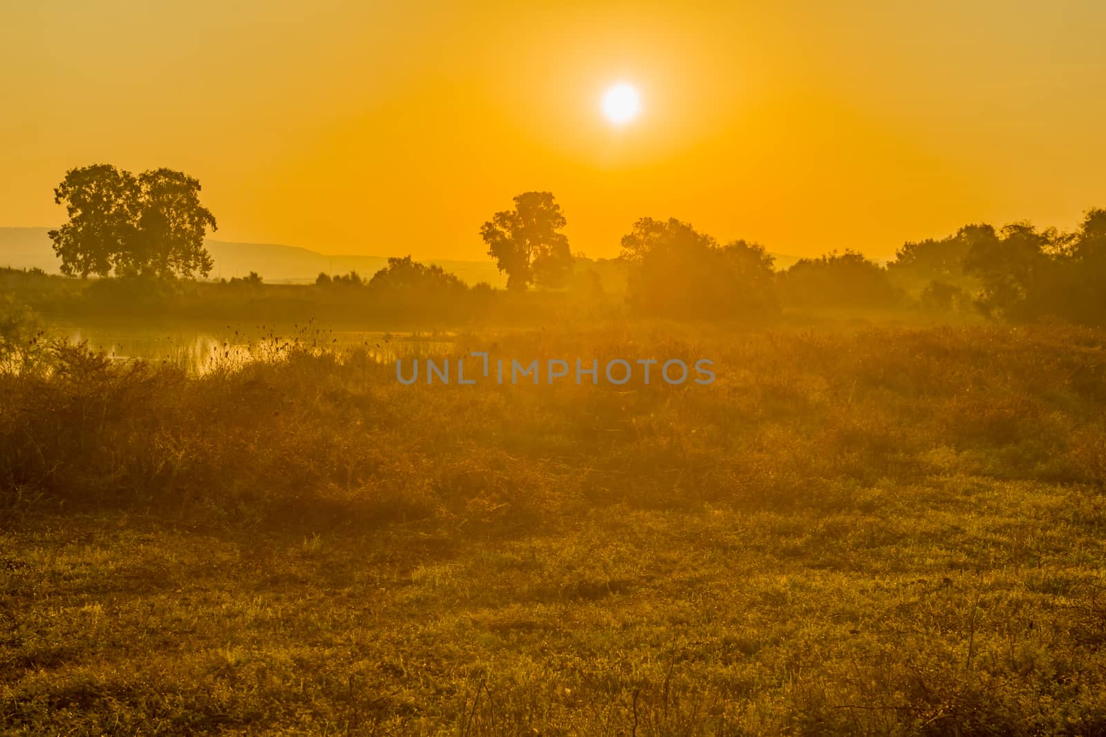 Sunrise over wetland in En Afek nature reserve by RnDmS