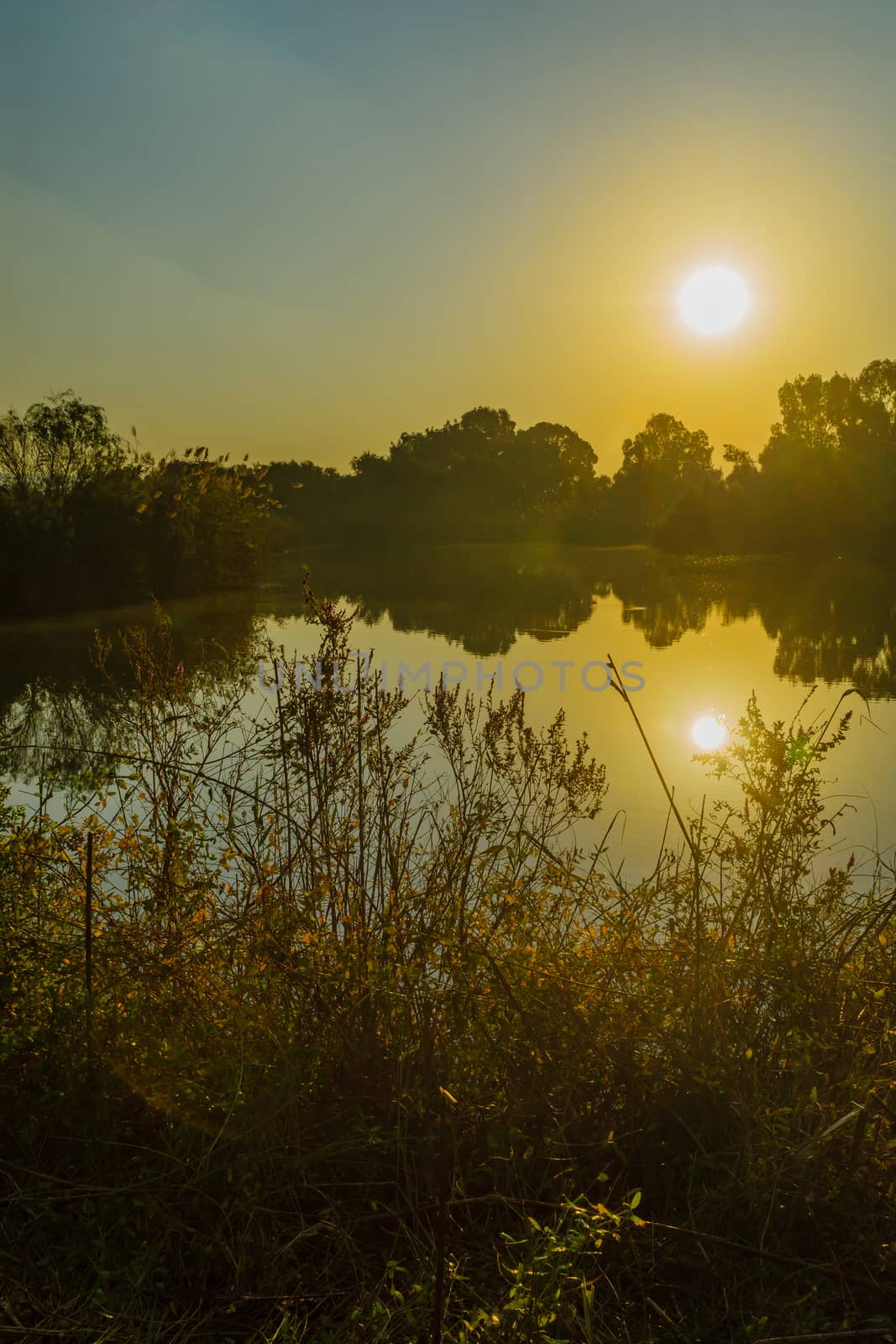 Morning view over wetland, in En Afek nature reserve by RnDmS