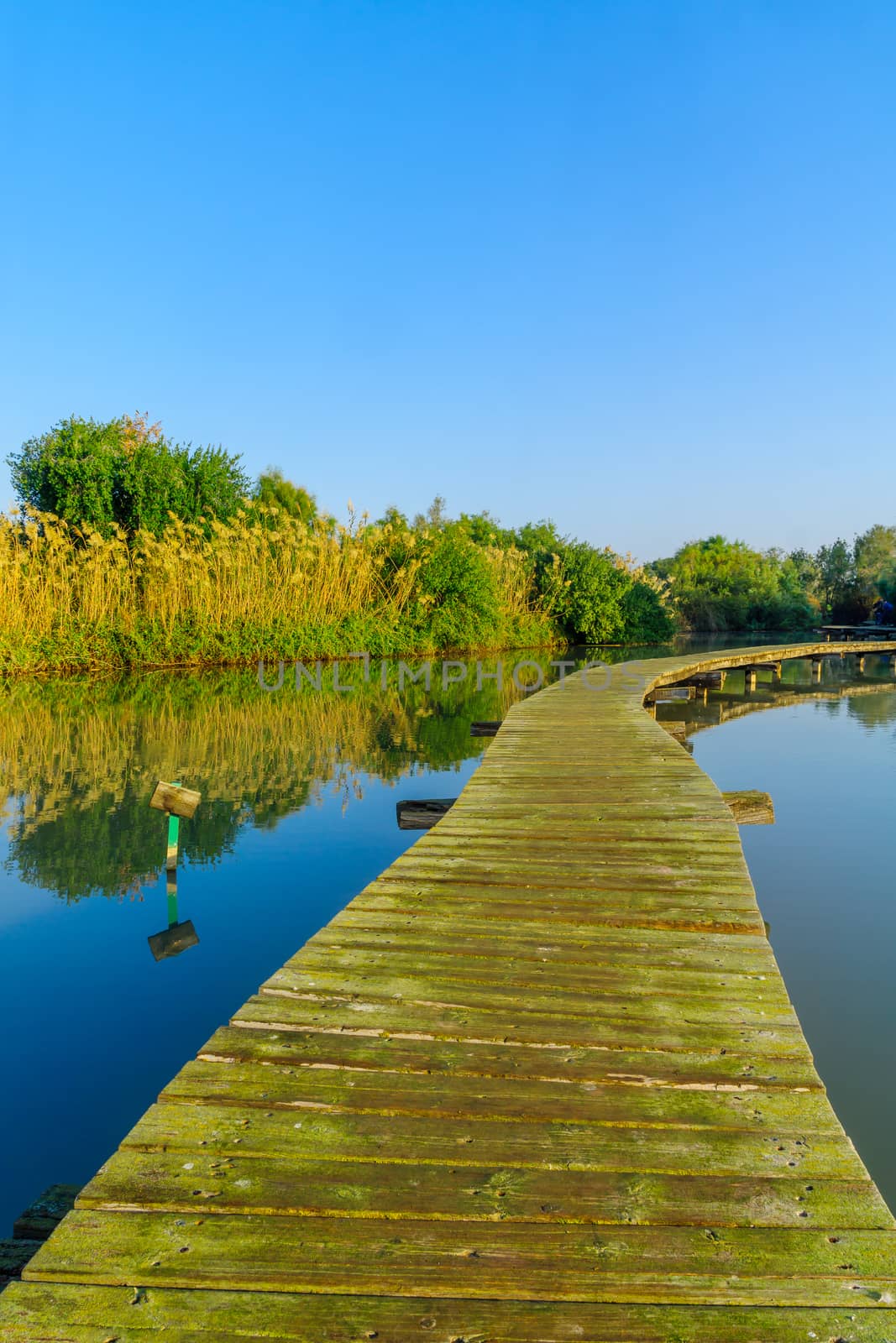 Elevated pathway over a pond, in En Afek nature reserve by RnDmS